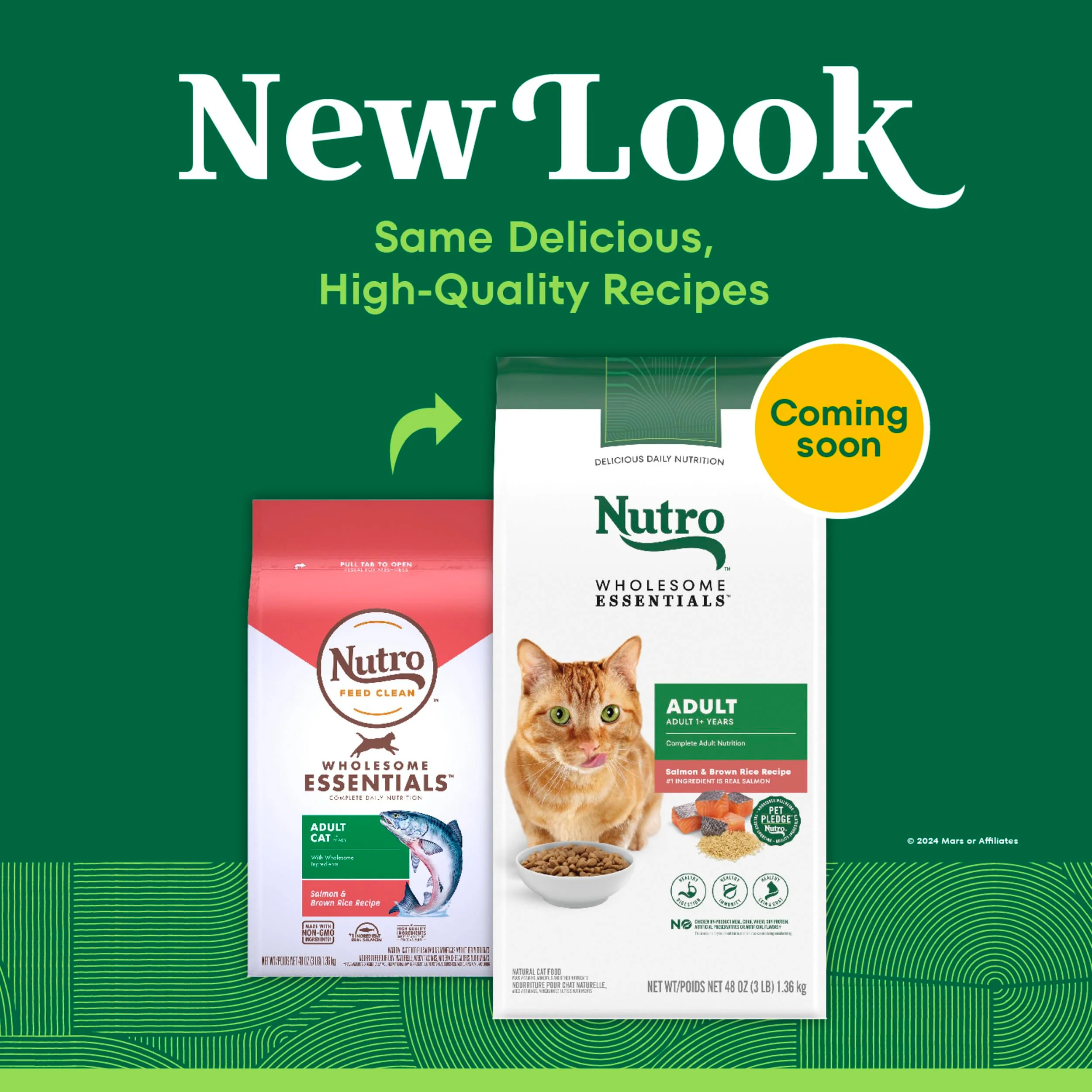 Nutro Wholesome Essentials Dry Cat Food, Adult Cat Food Dry Salmon & Brown Rice Recipe, 3 lb. Bag - Image 9