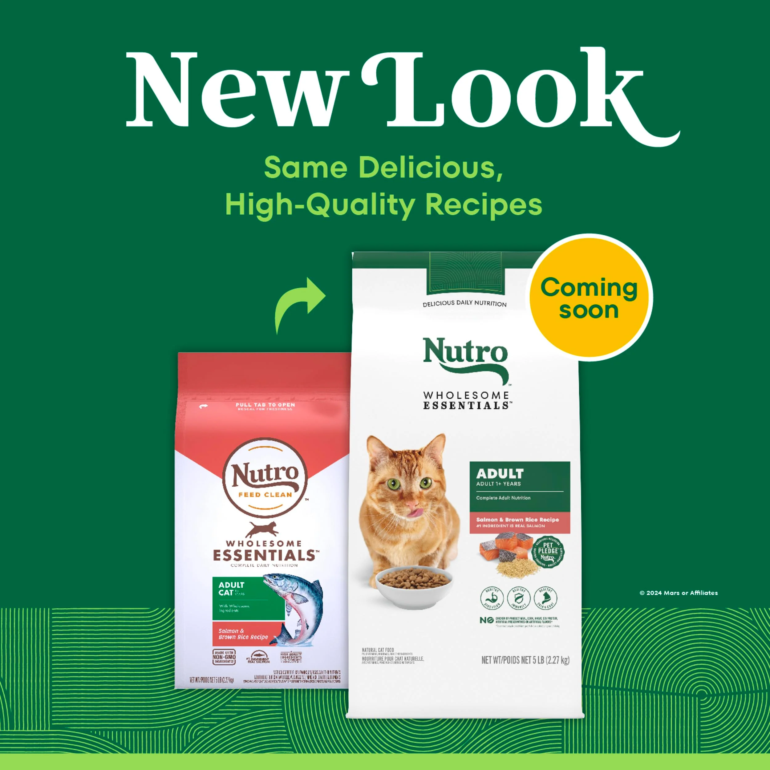 Nutro Wholesome Essentials Dry Cat Food, Adult Cat Food Dry Salmon & Brown Rice Recipe, 5 lb. Bag - Image 9
