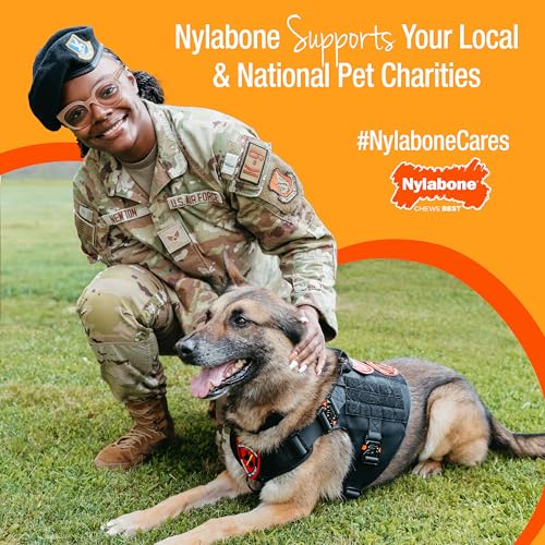 Nylabone Cheese Bone Power Chew Toy for Dogs, Cute Dog Toys for Aggressive Chewers, Cheese Flavor, Medium Dogs - Up to 35 lbs, 1 Count - Image 3