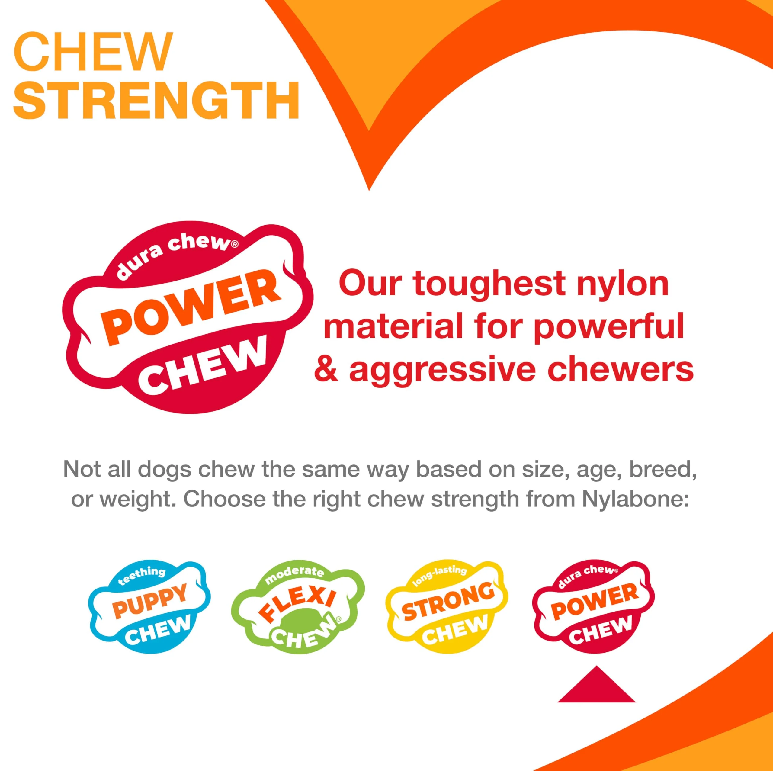 Nylabone Cheese Bone Power Chew Toy for Dogs, Cute Dog Toys for Aggressive Chewers, Cheese Flavor, Medium Dogs - Up to 35 lbs, 1 Count - Image 9