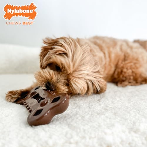 Nylabone Flexi Chill & Chew Toy for Dogs with Treat Pockets, Dog Toys for Moderate Chewers, Medley Flavor, Medium - Up to 35 lbs, 1 Count - Image 3