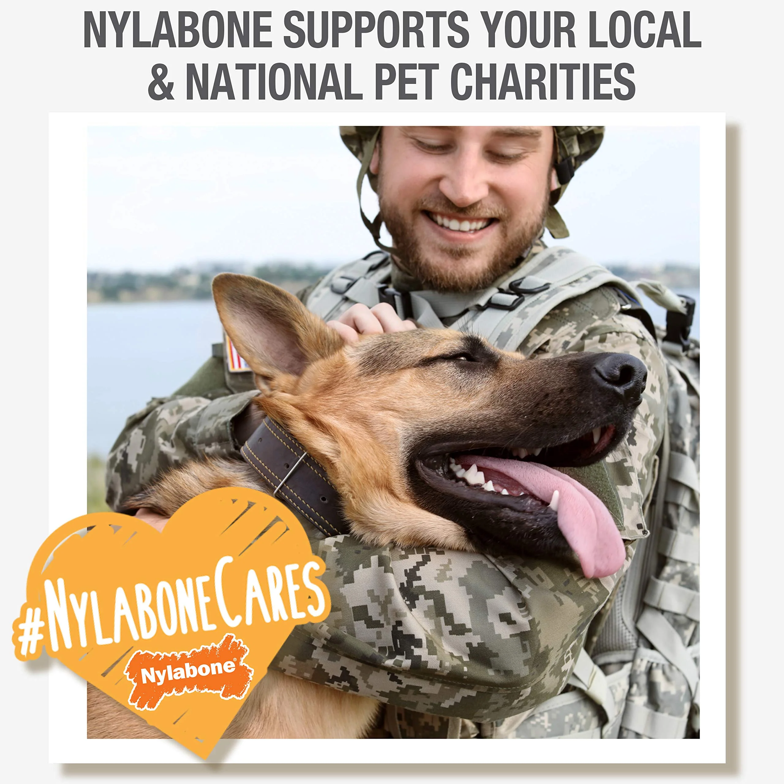 Nylabone Healthy Edibles Natural Puppy Chews Long Lasting Treats for Puppies, Lamb & Apple Flavor, X-Small/Petite (4 Count) - Image 5