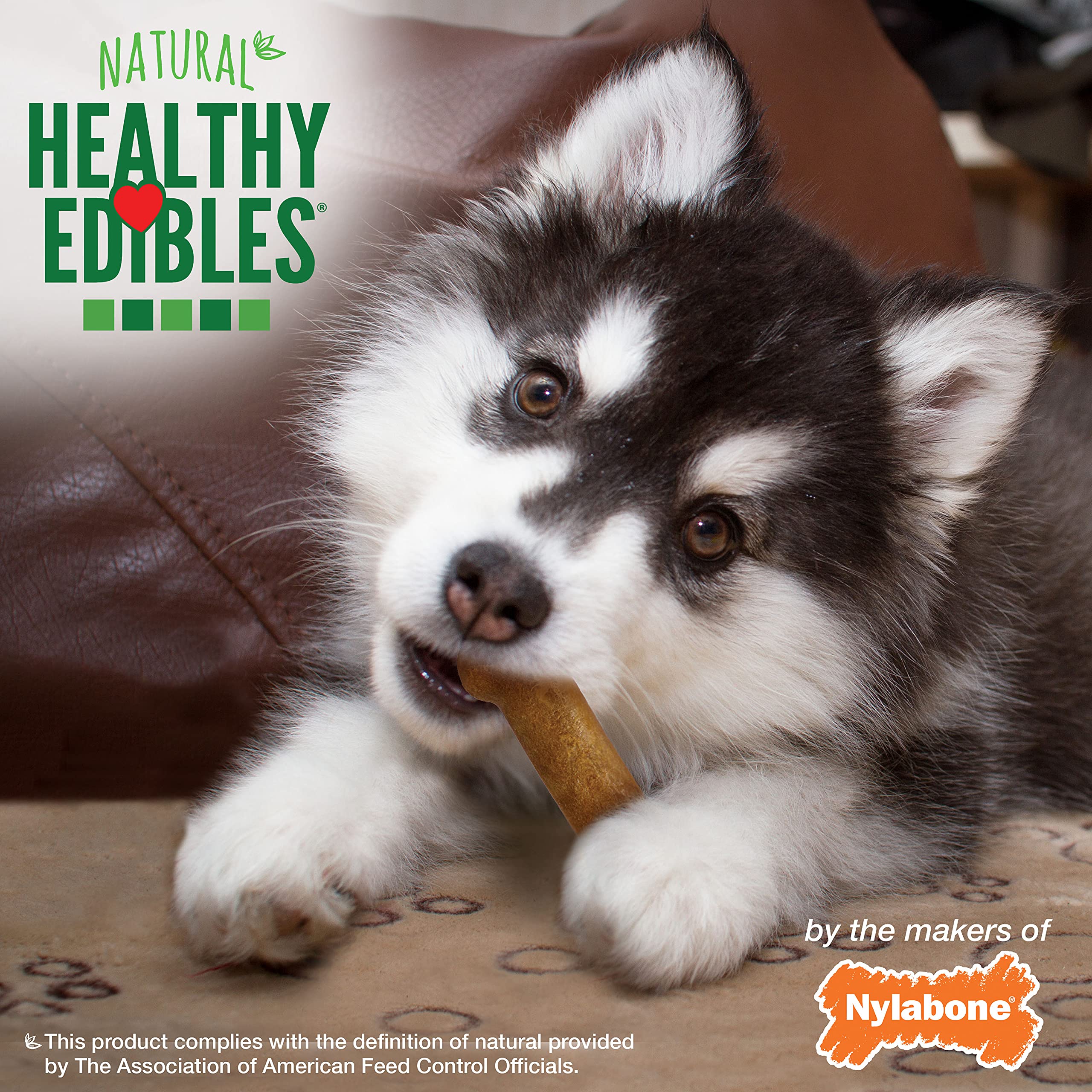 Nylabone Healthy Edibles Natural Puppy Chews Long Lasting Treats for Puppies, Lamb & Apple Flavor, X-Small/Petite (4 Count) - Image 7