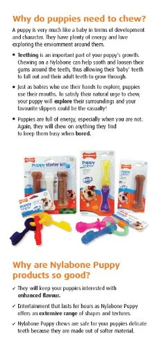 Nylabone Original Bone Flexi Chew Toy for Dogs, Dog Toys for Moderate Chewers, Dog Chew Bones, Chicken & Original Flavor, For X-Small Dogs - Up to 15 lbs, 3 Pack - Image 5