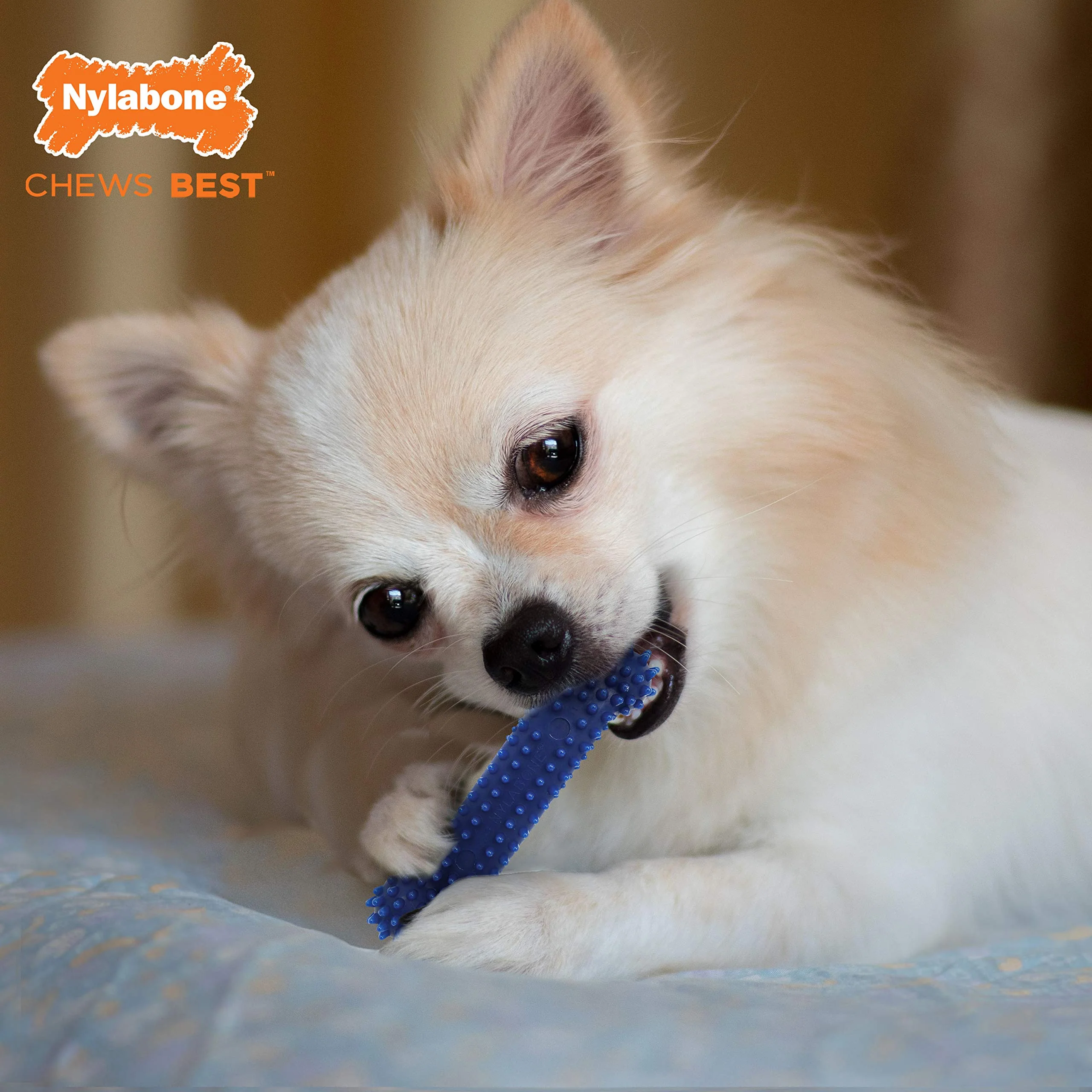 Nylabone Original Bone Flexi Chew Toy for Dogs, Dog Toys for Moderate Chewers, Dog Chew Bones, Chicken & Original Flavor, For X-Small Dogs - Up to 15 lbs, 3 Pack - Image 9