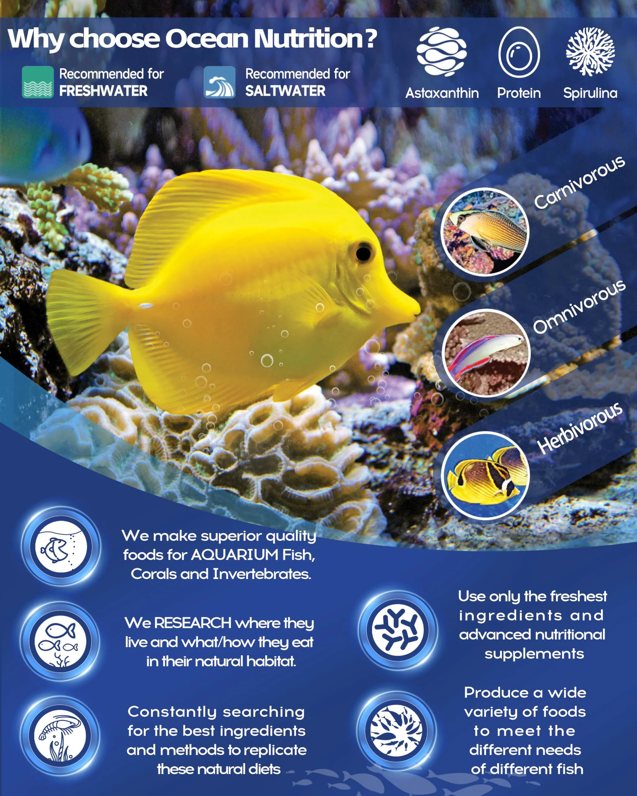 Ocean Nutrition Formula One Flake Fish Food - Natural Ingredient Fish Food Flakes for All Saltwater Tropical Fish - Supports Health & Coloration, Does Not Cloud Water, Made in USA, 1.2 oz (34 g) - Image 3