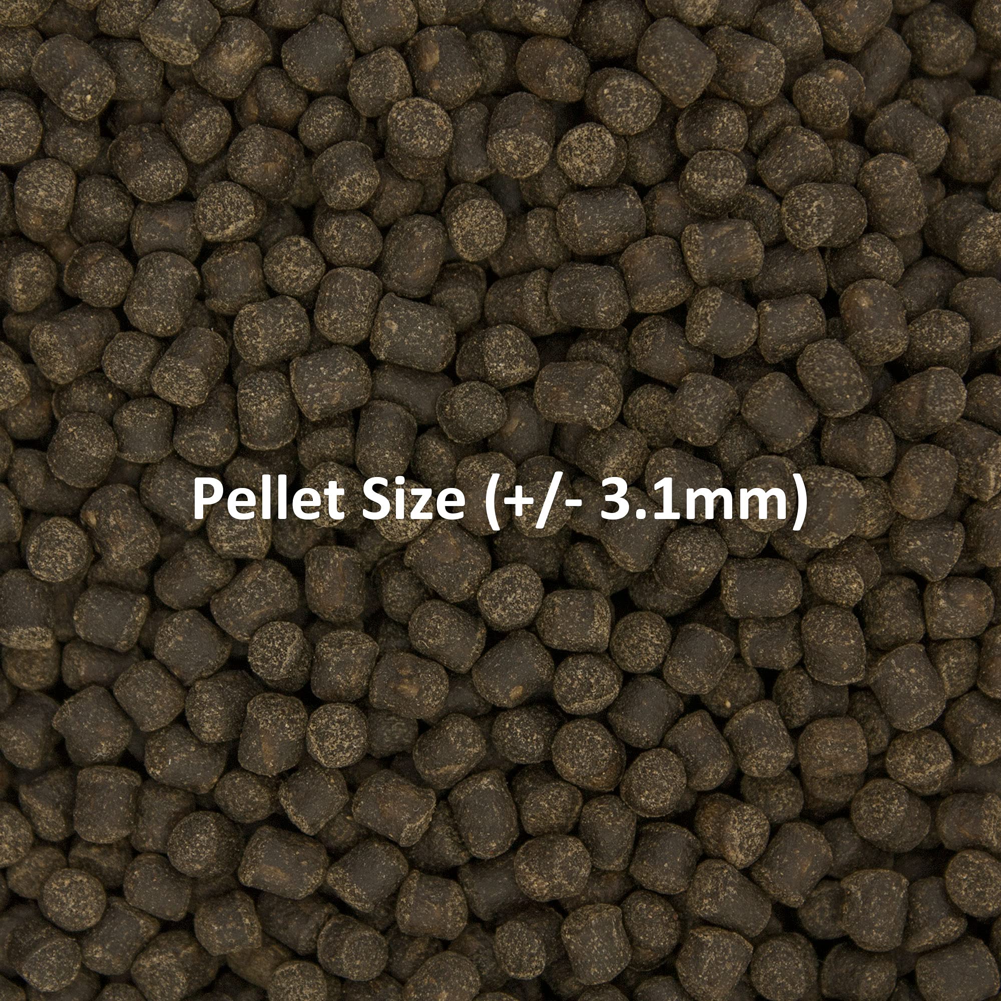 Ocean Nutrition Formula Two Pellets - Fish Food for Herbivorous & Omnivorous Marine Tropical Fish, High Protein(40%) - 7 oz (200 g) Medium Pellets - Image 5
