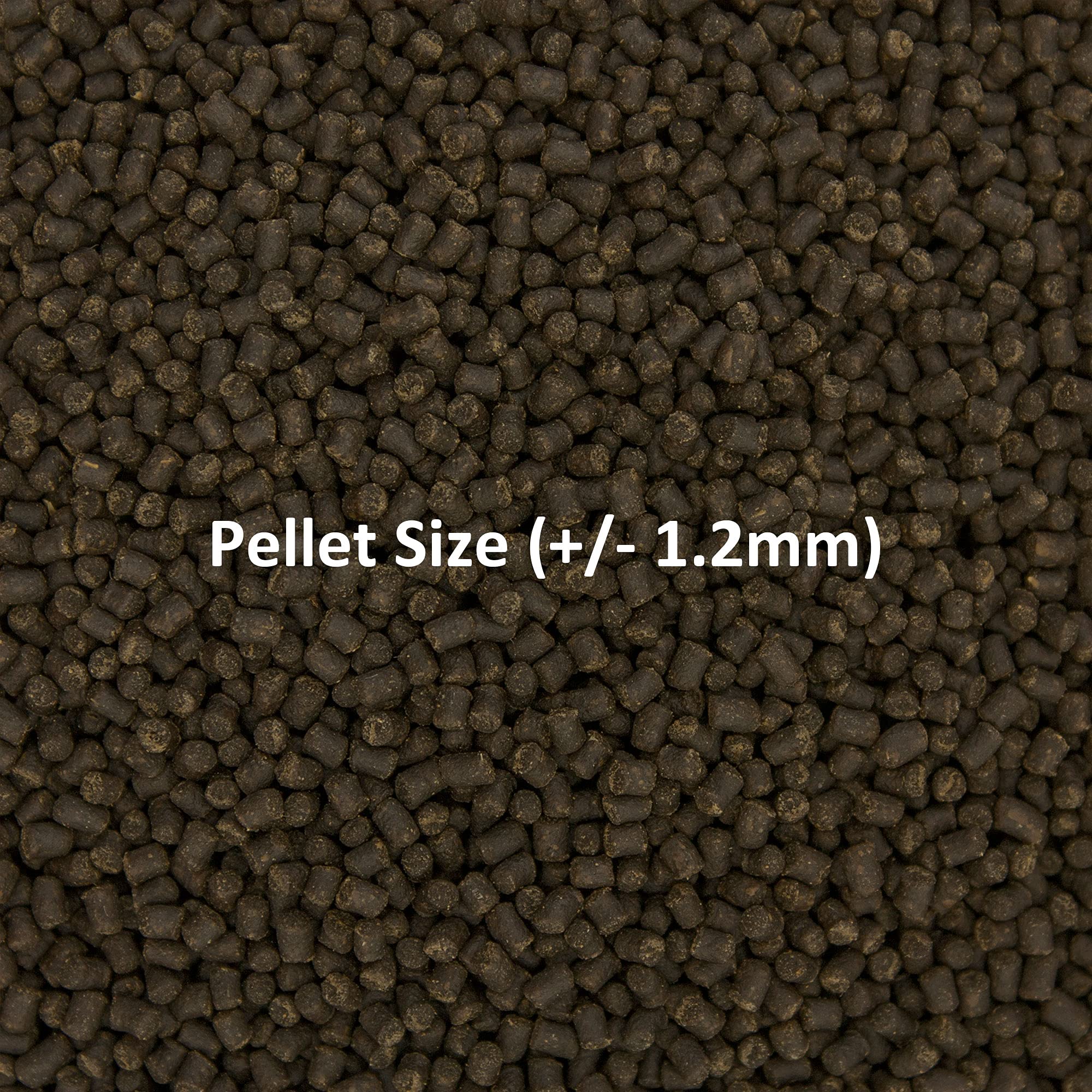 Ocean Nutrition Formula Two Pellets - Fish Food for Herbivorous & Omnivorous Marine Tropical Fish, High Protein(40%) - 7 oz (200 g) Small Pellets - Image 5