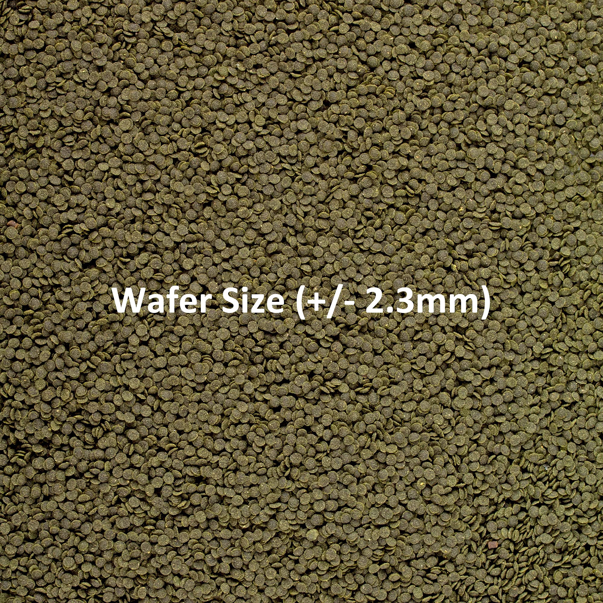 Ocean Nutrition Shrimp Wafers - Sinking Shrimp Food for Freshwater Shrimp Tank (Neocaridina, Caridina, Ghost Shrimp Live, Amano, Cherry) - Enriched with Essential Vitamins & Proteins - 0.53 oz (15 g) - Image 6