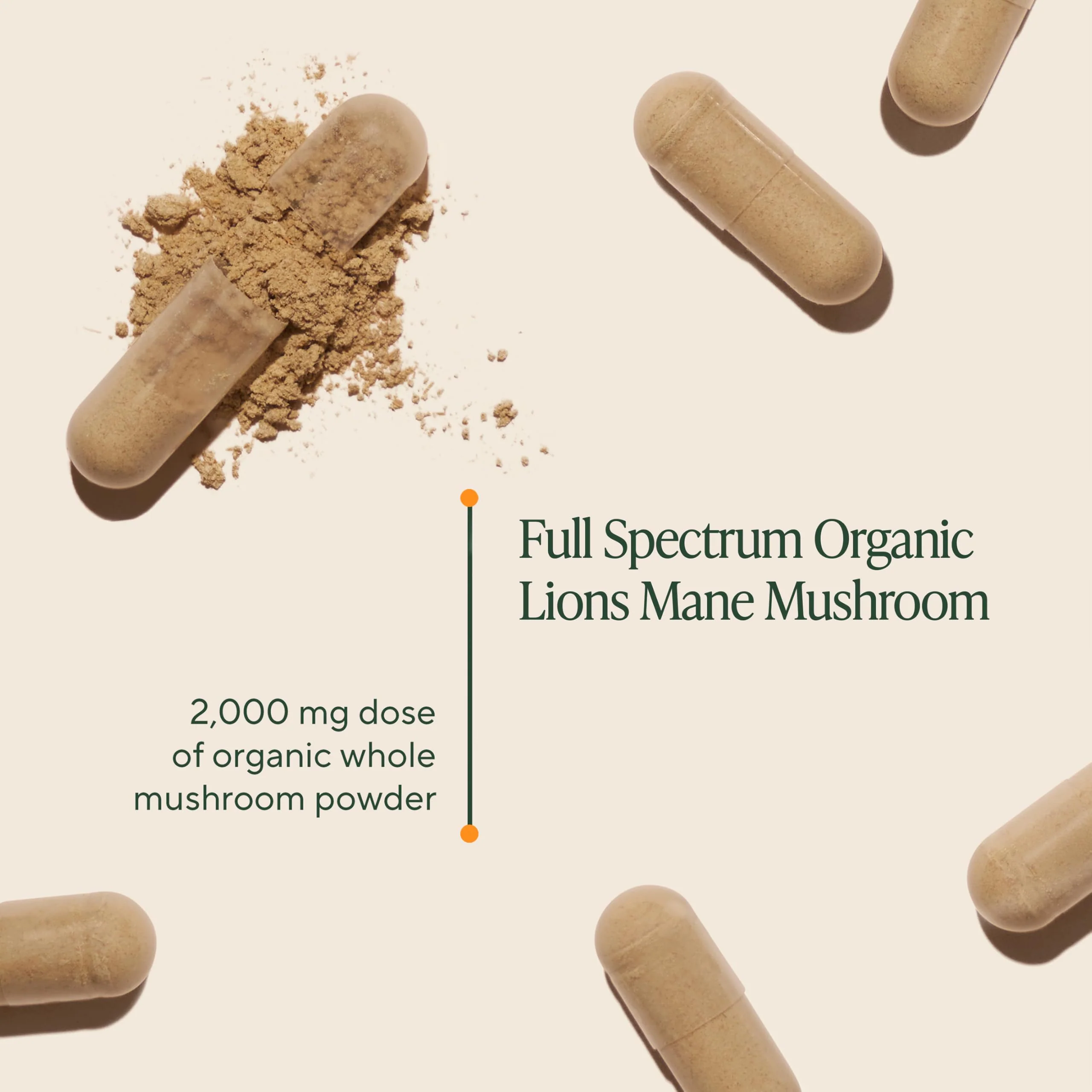 Om Lion’s Mane Mushroom Capsules - Organic Mushroom Supplement and Nootropic - Brain Supplements for Memory and Focus, 90 Count (30 Servings) - Image 7