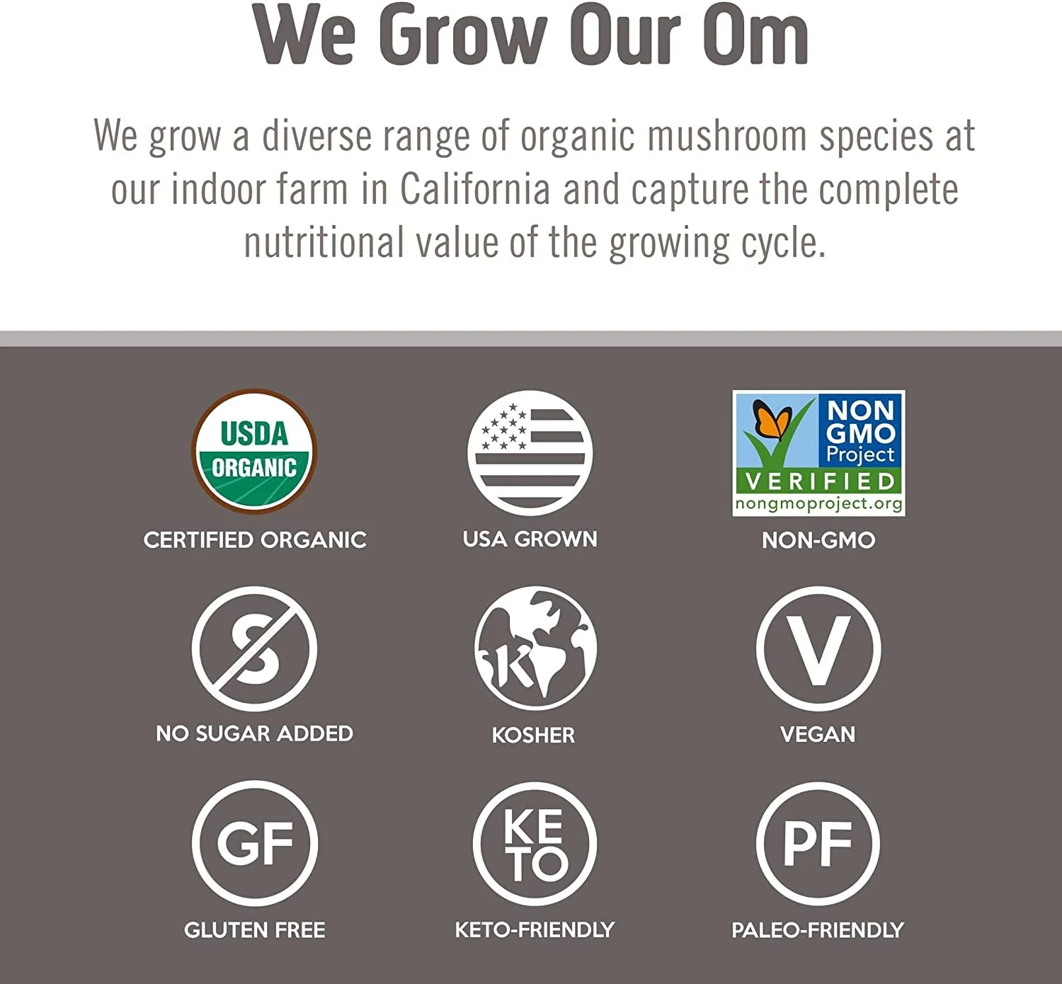 Om Mushroom Superfood Chaga Organic Mushroom Powder, 3.5 Ounce, 50 Servings, US Grown, Sacred Antioxidants & Immune Support, Superfood Mushroom Supplement - Image 3