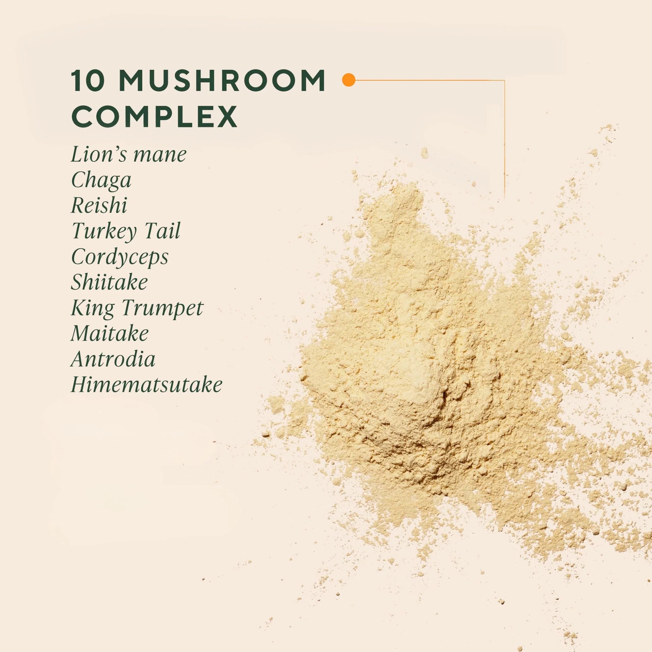 OM MUSHROOM SUPERFOOD Master Blend Vegan Protein – Creamy Vanilla Plant Protein with 10 Mushrooms, Ashwagandha, BCAAs & B12 – Energy, Recovery & Immune Support – 1.2 lb (16 Servings) - Image 2