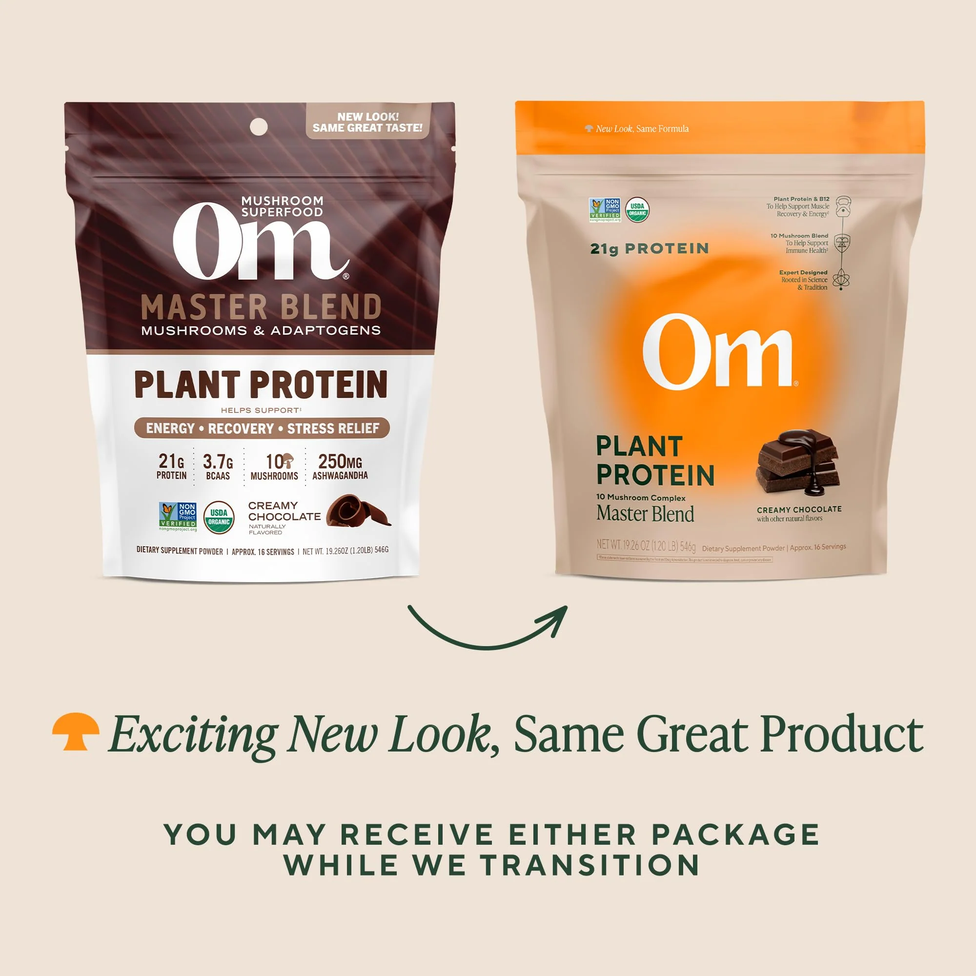 OM MUSHROOM SUPERFOOD Master Blend Vegan Protein – Organic Chocolate Plant Protein with 10 Mushrooms, Ashwagandha, BCAAs & B12 – Energy, Recovery & Immune Support – 1.2 lb (16 Servings) - Image 7