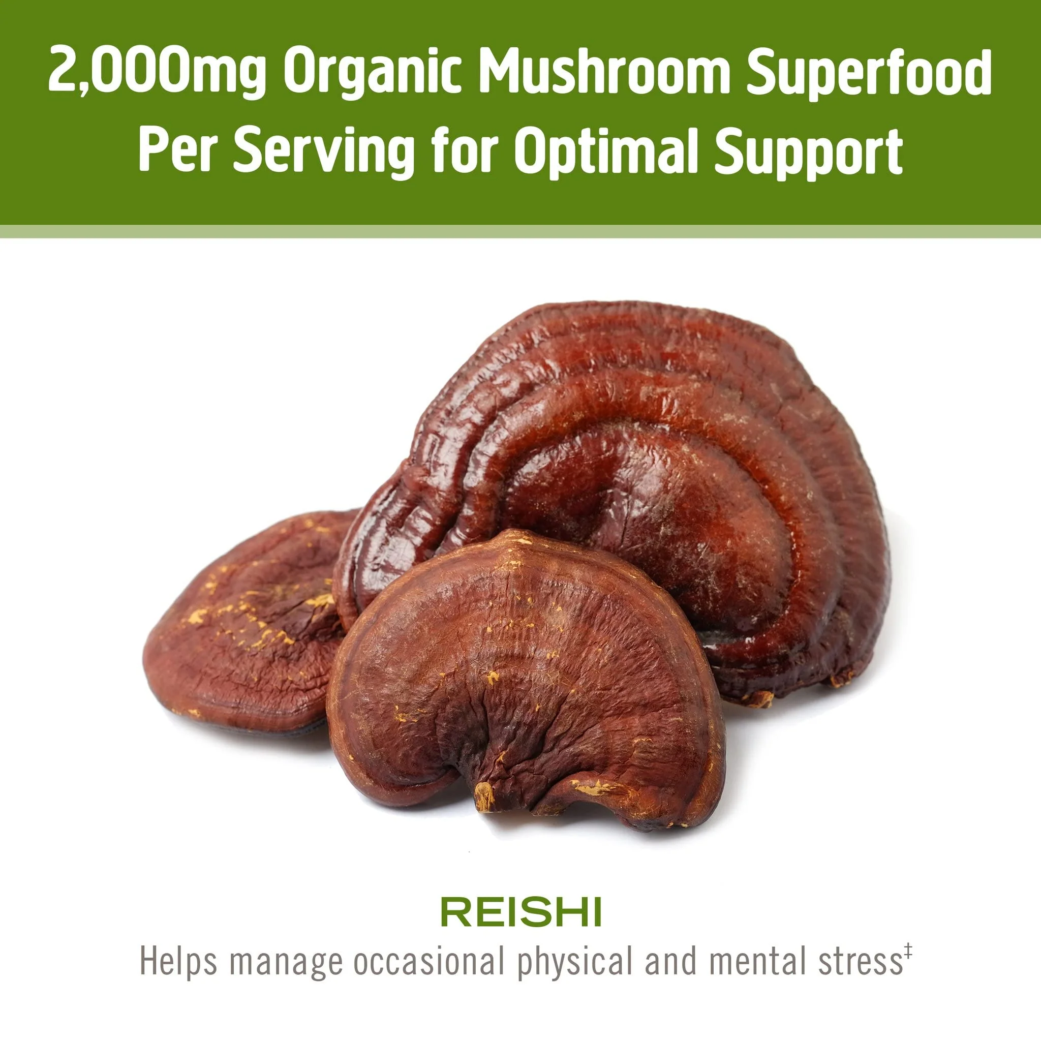 Om Mushroom Superfood Reishi Organic Mushroom Powder, 100 Servings, Organic Adaptogen Powder for Stress Relief and Immune Health - Image 5