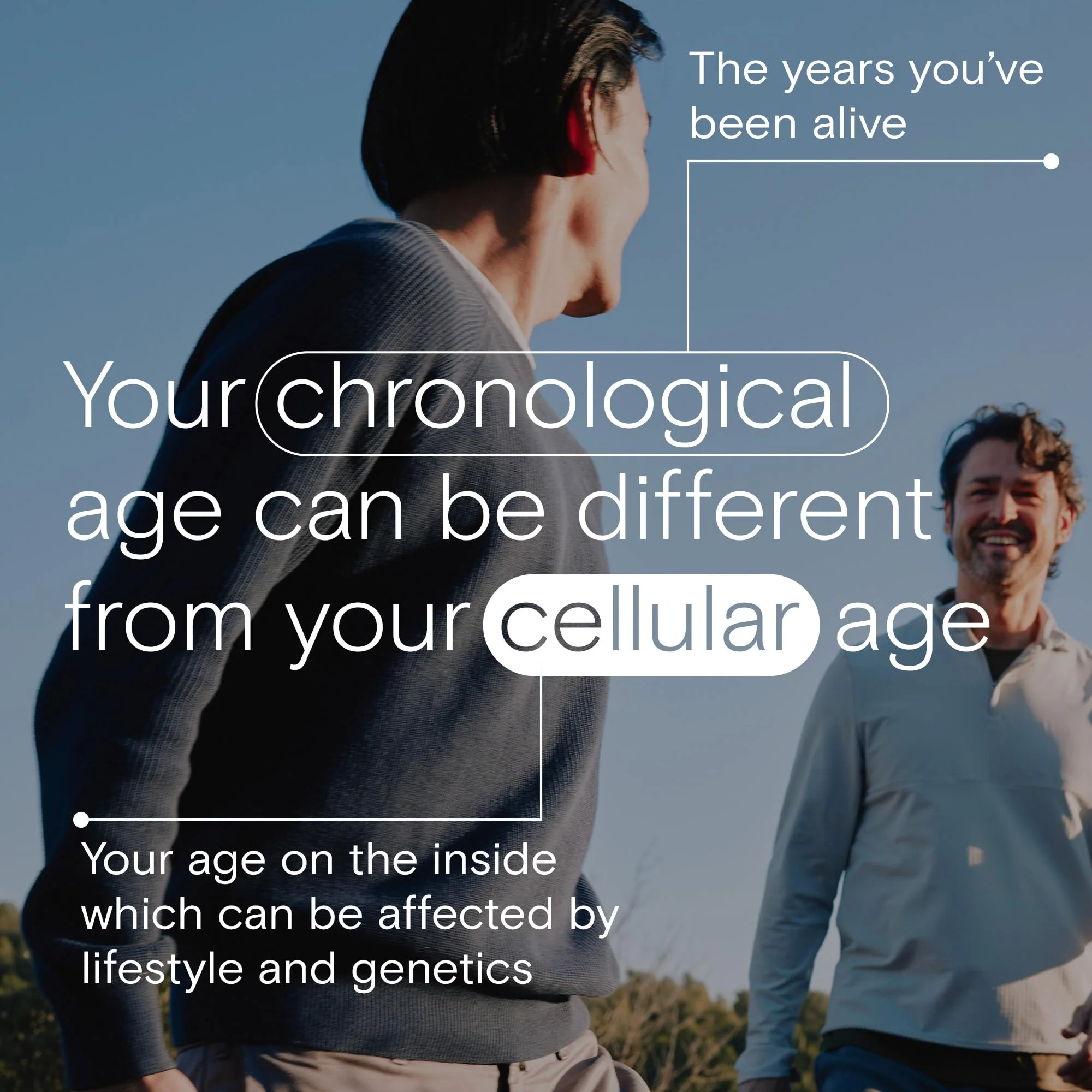 One A Day Age Factor Cell Defense-Cell Health Supplement to Support Healthy Aging Journey, Cell Health Support for Adults, with Olive Polyphenols, Resveratrol, Vitamin B3 (Niacinamide), 30 Softgels - Image 9