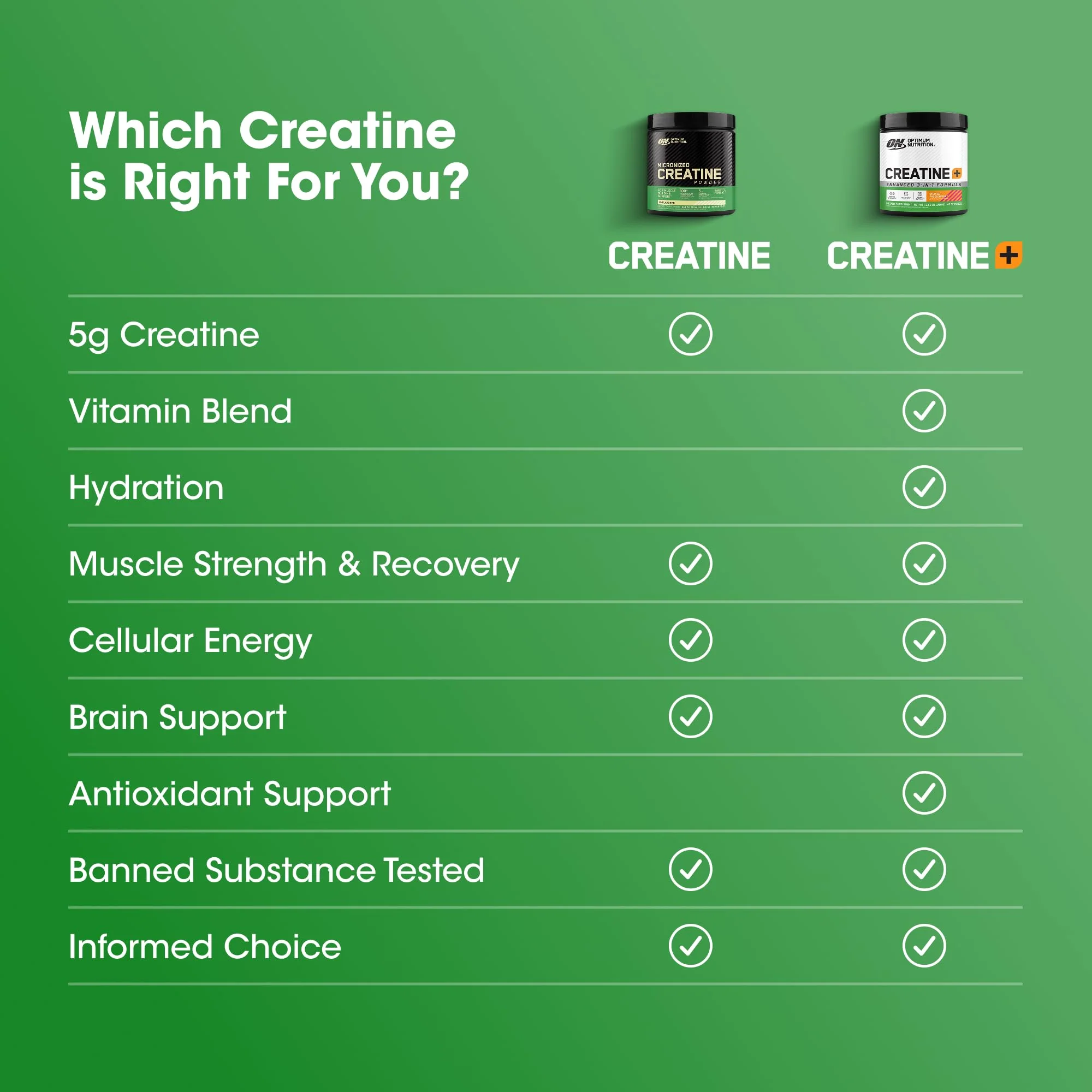 Optimum Nutrition Micronized Creatine Monohydrate Powder, Unflavored, 60 Servings, 300 Grams (Packaging May Vary) - Image 4