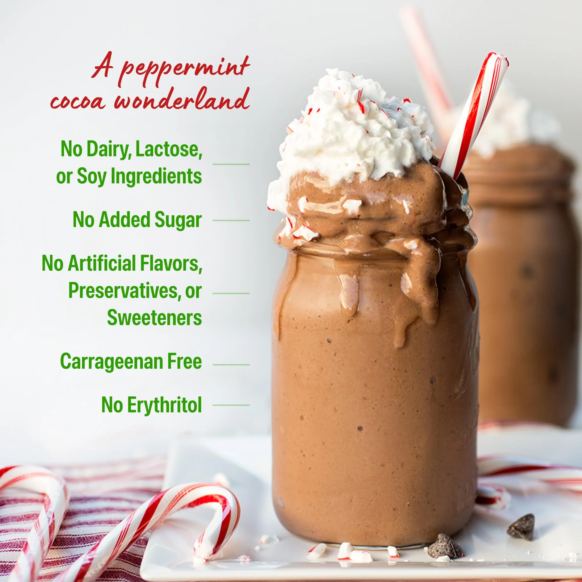 Orgain Organic Vegan Protein Powder, Peppermint Hot Cocoa Holiday Flavor - 21g of Plant Protein, 5g Prebiotic Fiber, No Lactose Ingredients, No Added Sugar, Non-GMO, For Shakes & Smoothies, 1.02 lb - Image 6