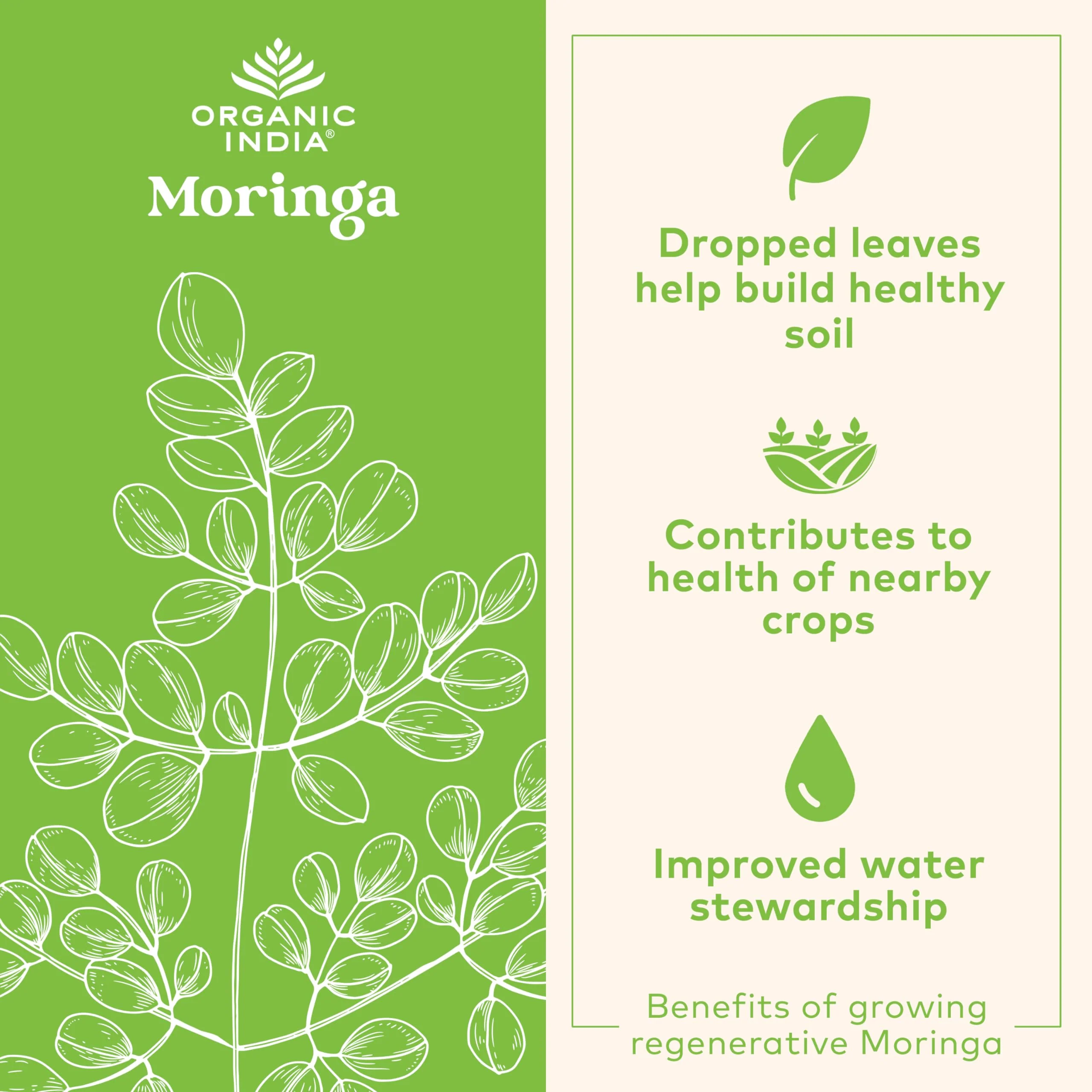 ORGANIC INDIA Moringa Herbal Supplement - Green Superfood, Nutrient Dense, Pure Plant Protein, Vitamin A, E, K, Iron, Calcium, Fiber, Vegan, Gluten-Free, USDA Certified Organic - 90 Capsules - Image 6