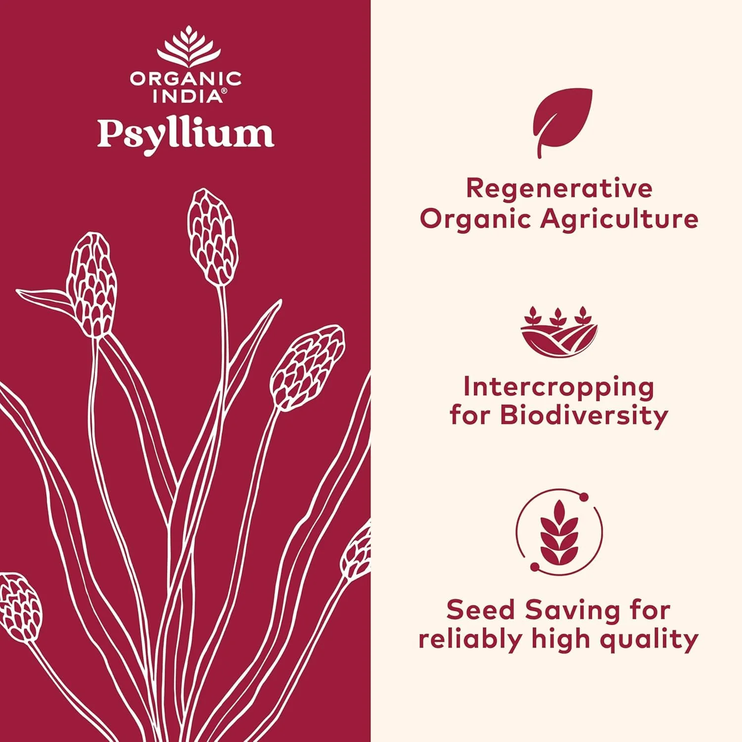 ORGANIC INDIA Psyllium Herbal Powder - Whole Husk Fiber, Vegan, Gluten-Free, USDA Certified Organic, Non-GMO, Soluble & Insoluble Fiber Source - 12 Oz Canister (Pack of 1) - Image 6