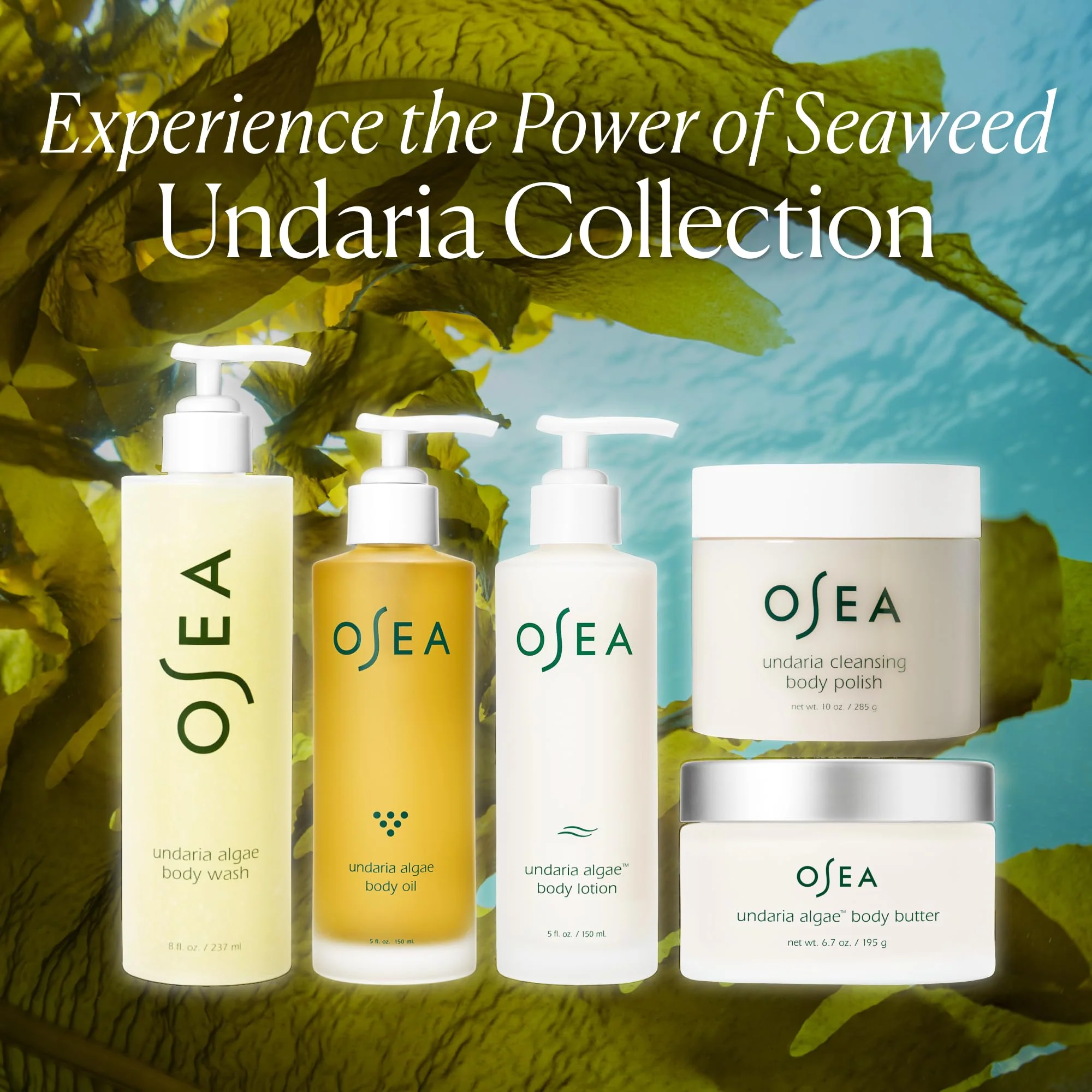 OSEA Undaria Algae™ Fragrance Free Body Lotion 5 oz - Ultra-Hydrating & Lightweight - Firms Skin in 4 Hours - Packed with Undaria Seaweed & Hyaluronic Acid - Hypoallergenic Formula - Image 3