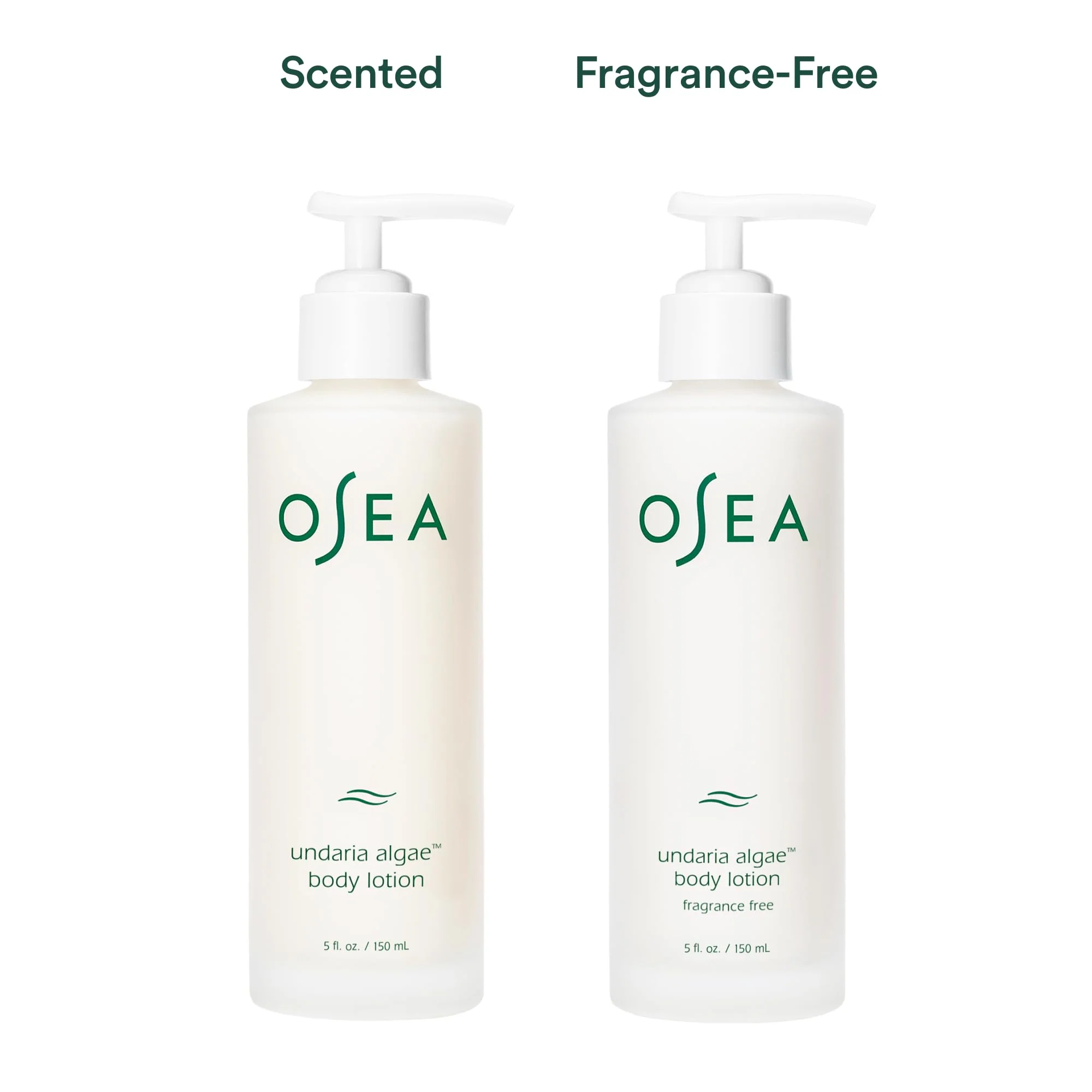 OSEA Undaria Algae™ Fragrance Free Body Lotion 5 oz - Ultra-Hydrating & Lightweight - Firms Skin in 4 Hours - Packed with Undaria Seaweed & Hyaluronic Acid - Hypoallergenic Formula - Image 9