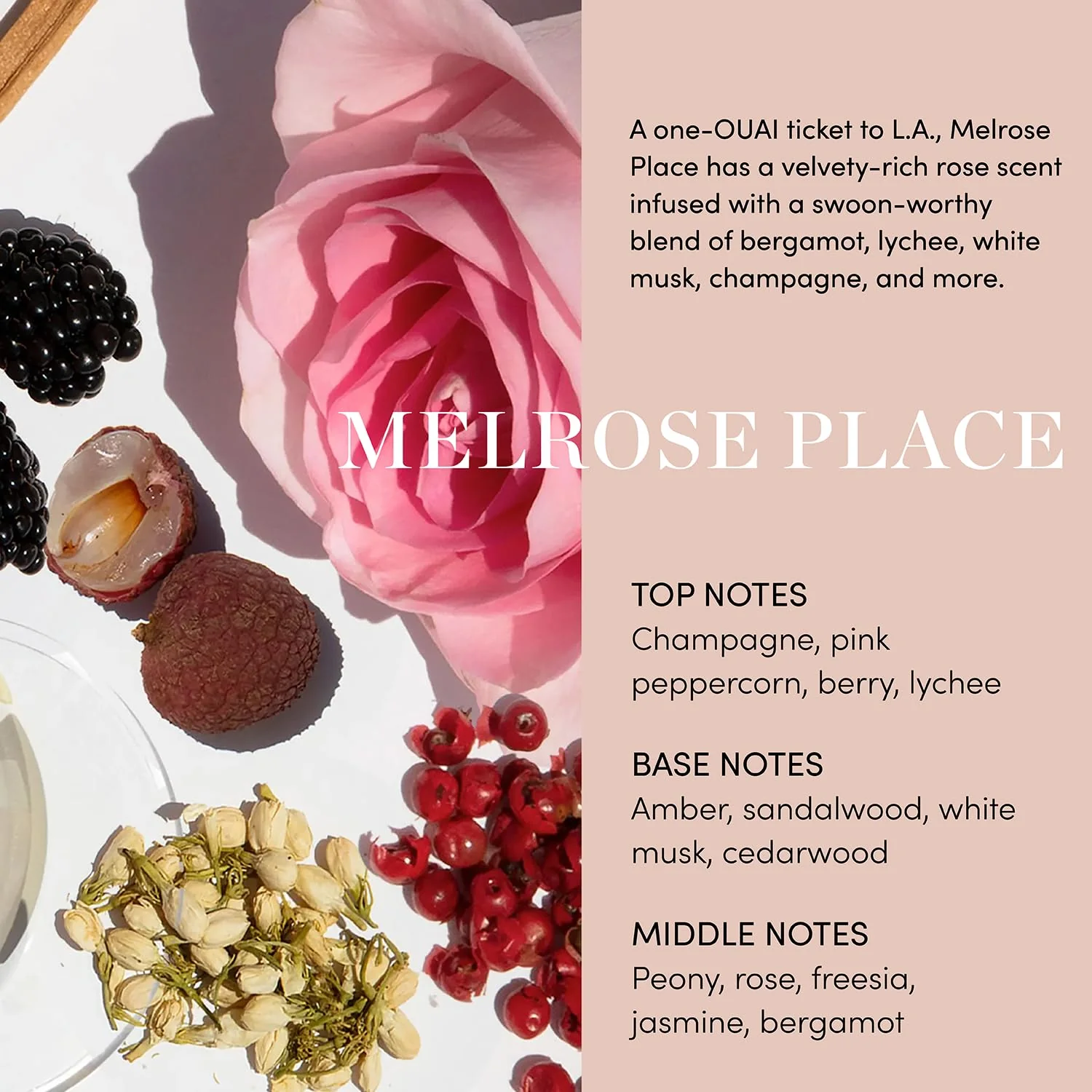 OUAI Body Cleanser, Melrose Place - Foaming Body Wash with Jojoba Oil and Rosehip Oil to Hydrate, Nurture, Balance and Soften Skin - Paraben, Phthalate and Sulfate Free Skin Care Products (10 Fl Oz) - Image 3