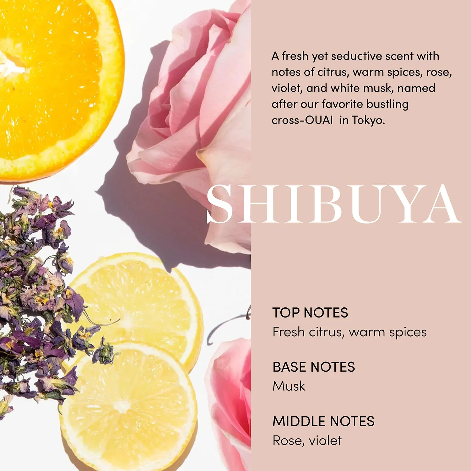 OUAI Body Cream, Shibuya - Hydrating Whipped Body Cream with Cupuaçu Butter, Coconut Oil and Squalane - Softens Skin and Delivers Healthy-Looking Glow - Sulfate Free Skin Care (7.5 Oz) - Image 3