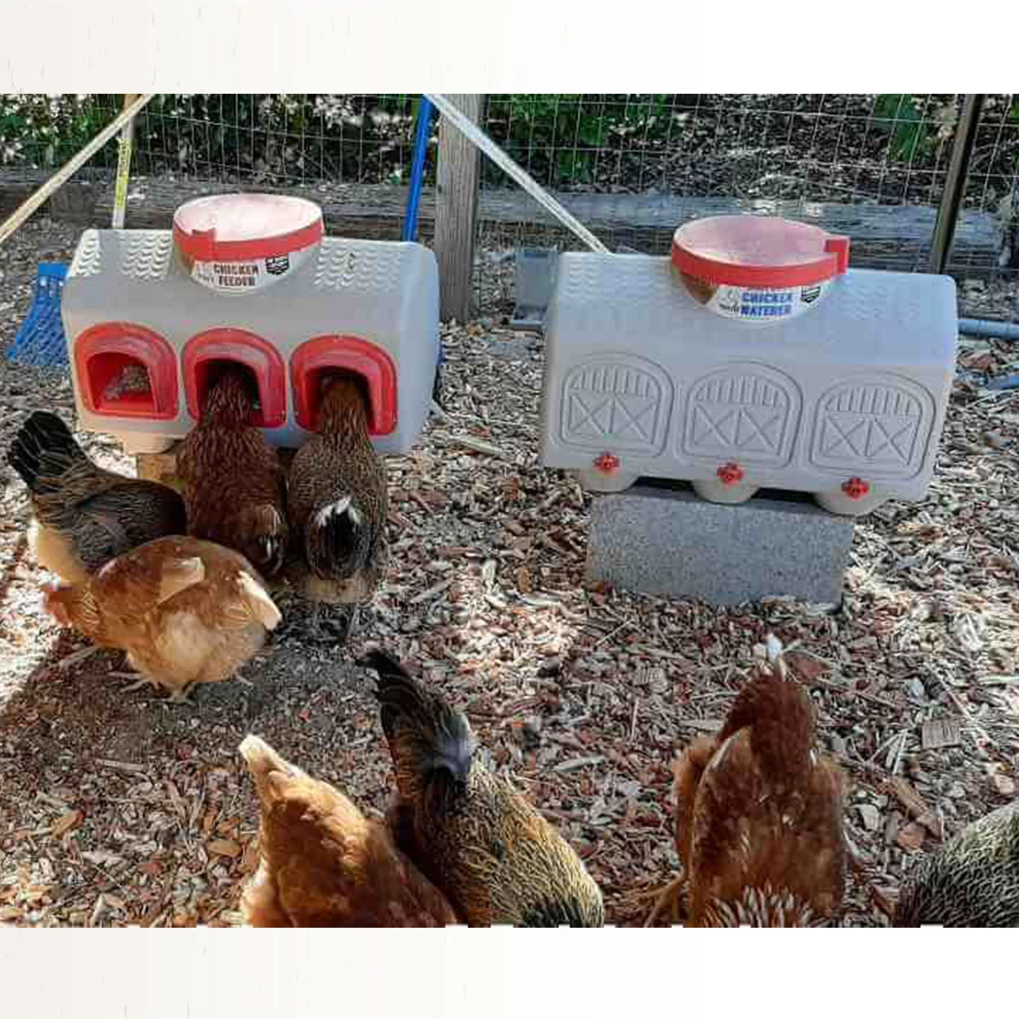 OverEZ Automatic Chicken Waterer with No Spill System, Outside and Inside Poultry Drinker, Large 12 Gallon High Capacity Drinking Bottle Dispenser for Hens - Image 3