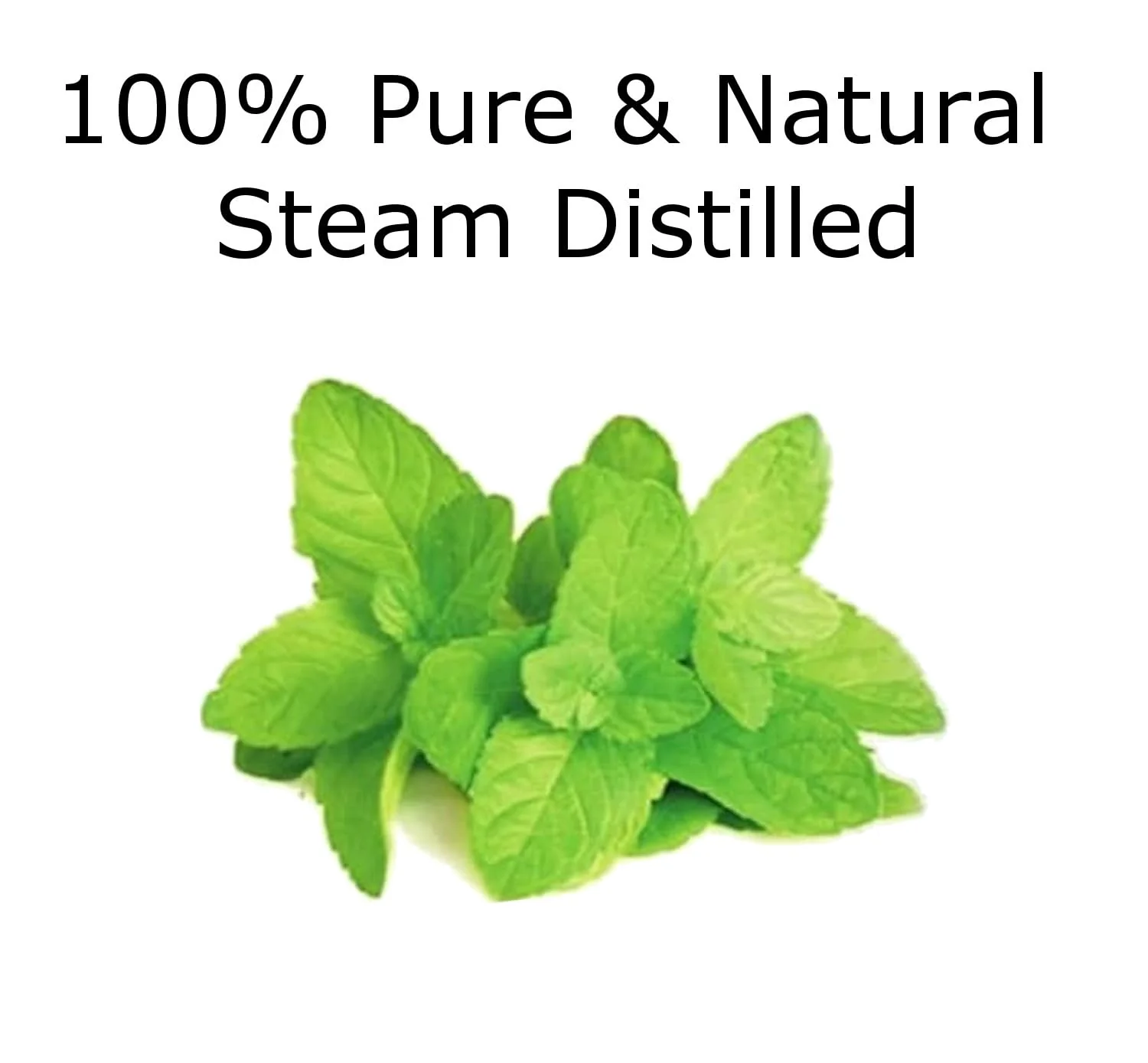 Peppermint Essential Oil 4 oz. with Huge Glass Bottle, Glass Dropper, and Sprayer. Detailed User's Guide E-Book. Skin Care, Garden Care, and Hair Care. - Image 2
