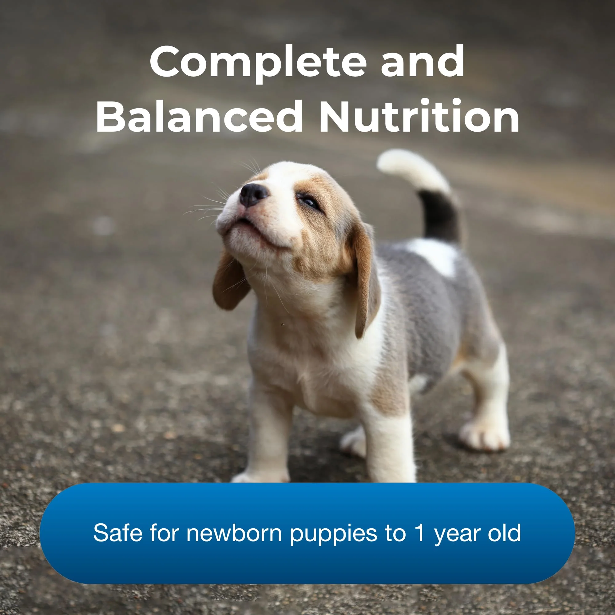 Pet-Ag PetLac Powder for Puppies - 10.5 oz - Puppy Milk Replacement Powder Puppies Newborn to Six Weeks Old - Easy to Digest - Image 5