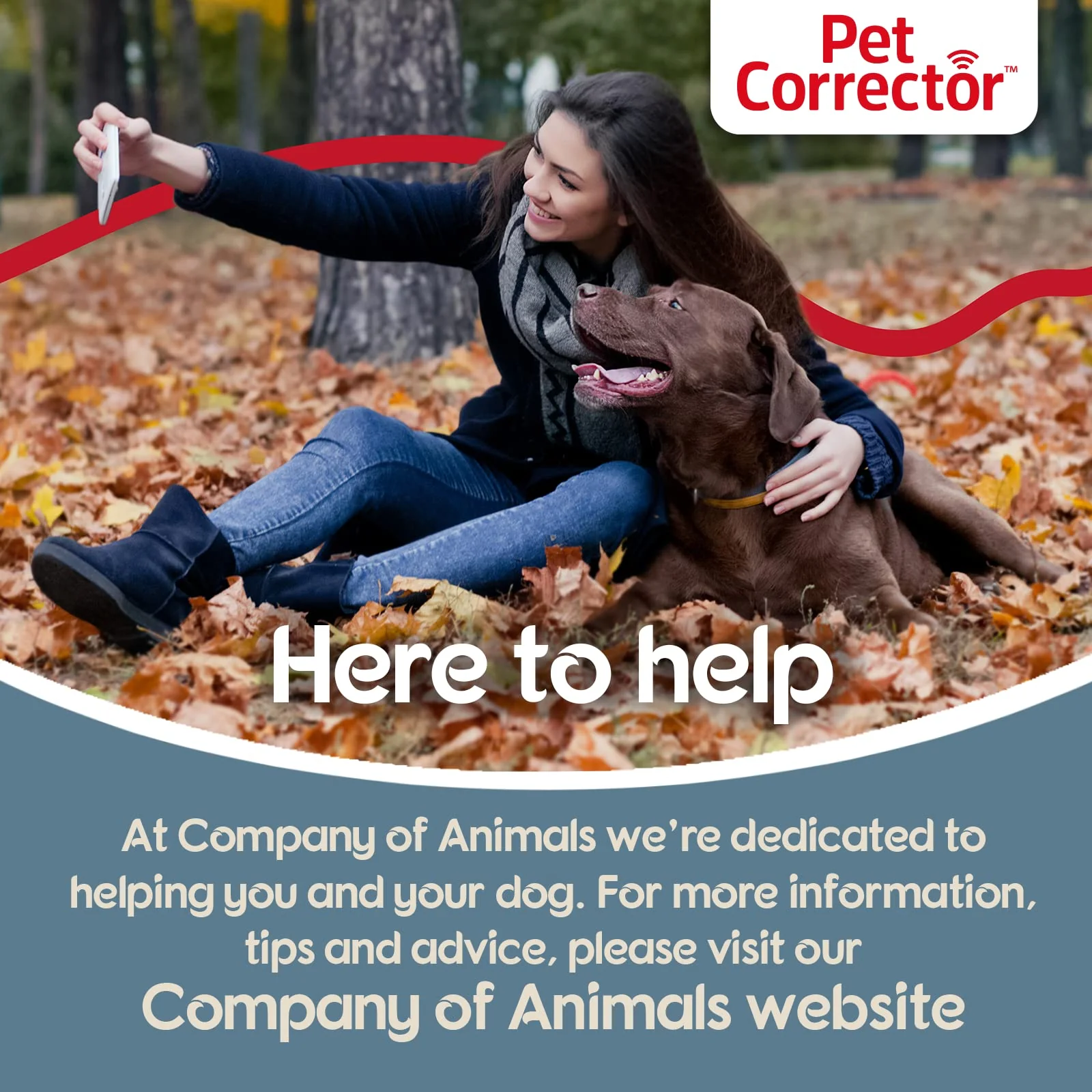 Pet Corrector Dog Trainer 30 ml - Stops Barking, Jumping Up, Place Avoidance, Food Stealing, Dog Fights & Attacks. Help stop unwanted dog behaviour. Easy to use, safe, humane, and effective - Image 4