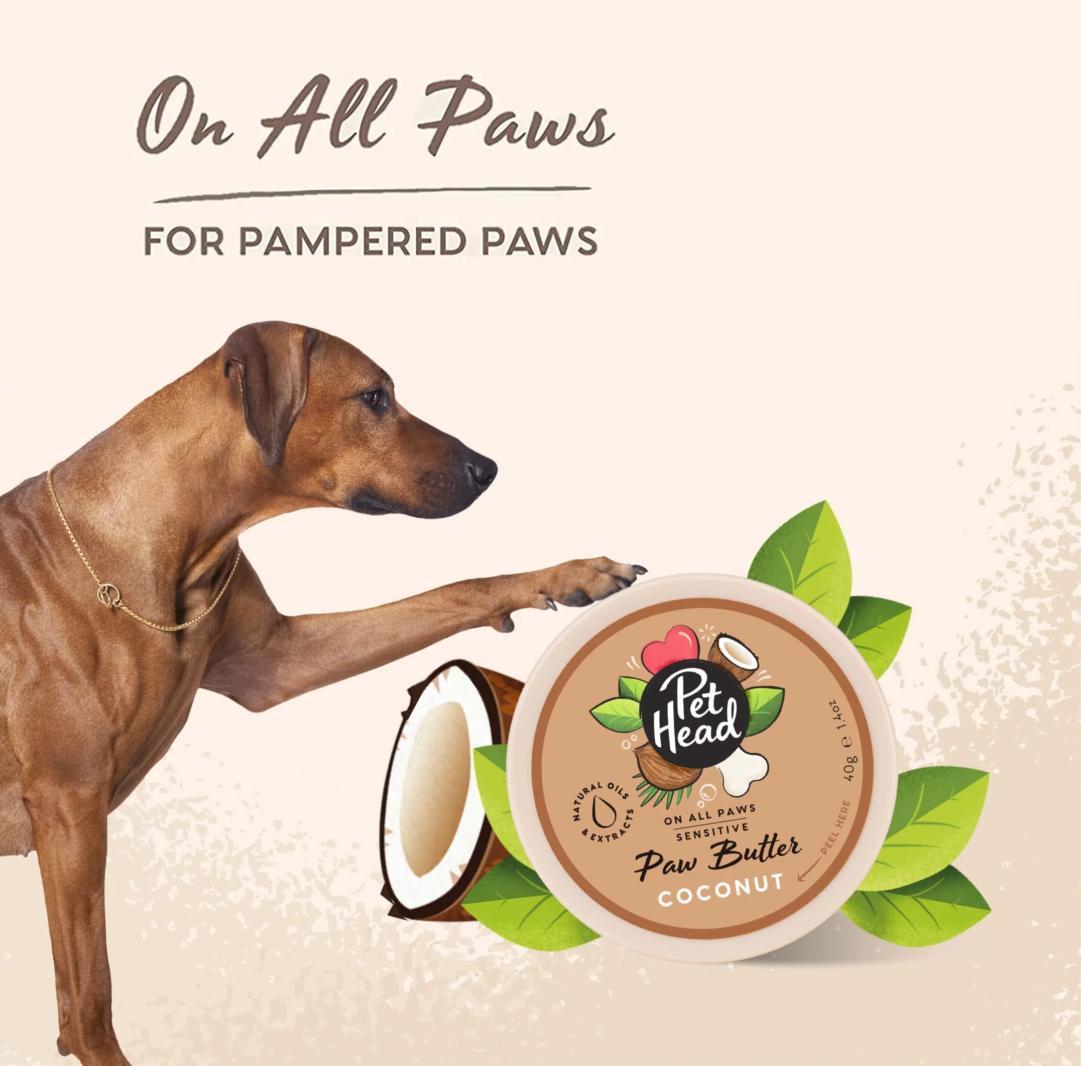 Pet Head On All Paws Coconut Paw Butter | Soothes & Nourishes for Soft Crack-Free Paws and Noses | Paw Moisturizer Balm | Vegan | Lick-Safe | Gentle Formula for Puppies | Made in USA | 1.4 oz. - Image 4