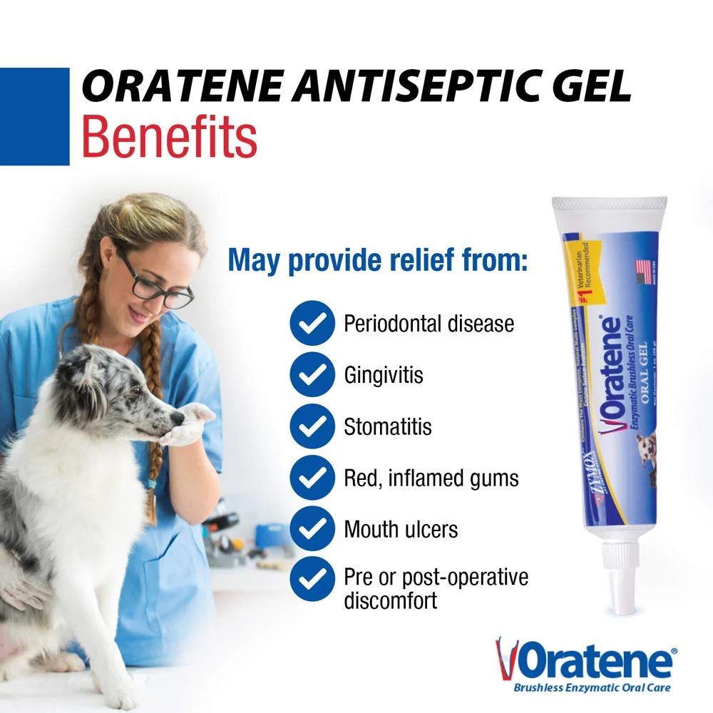 Pet King Brands ZYMOX Oratene Brushless Oral Gel for Dogs and Cats, 1oz - Image 6