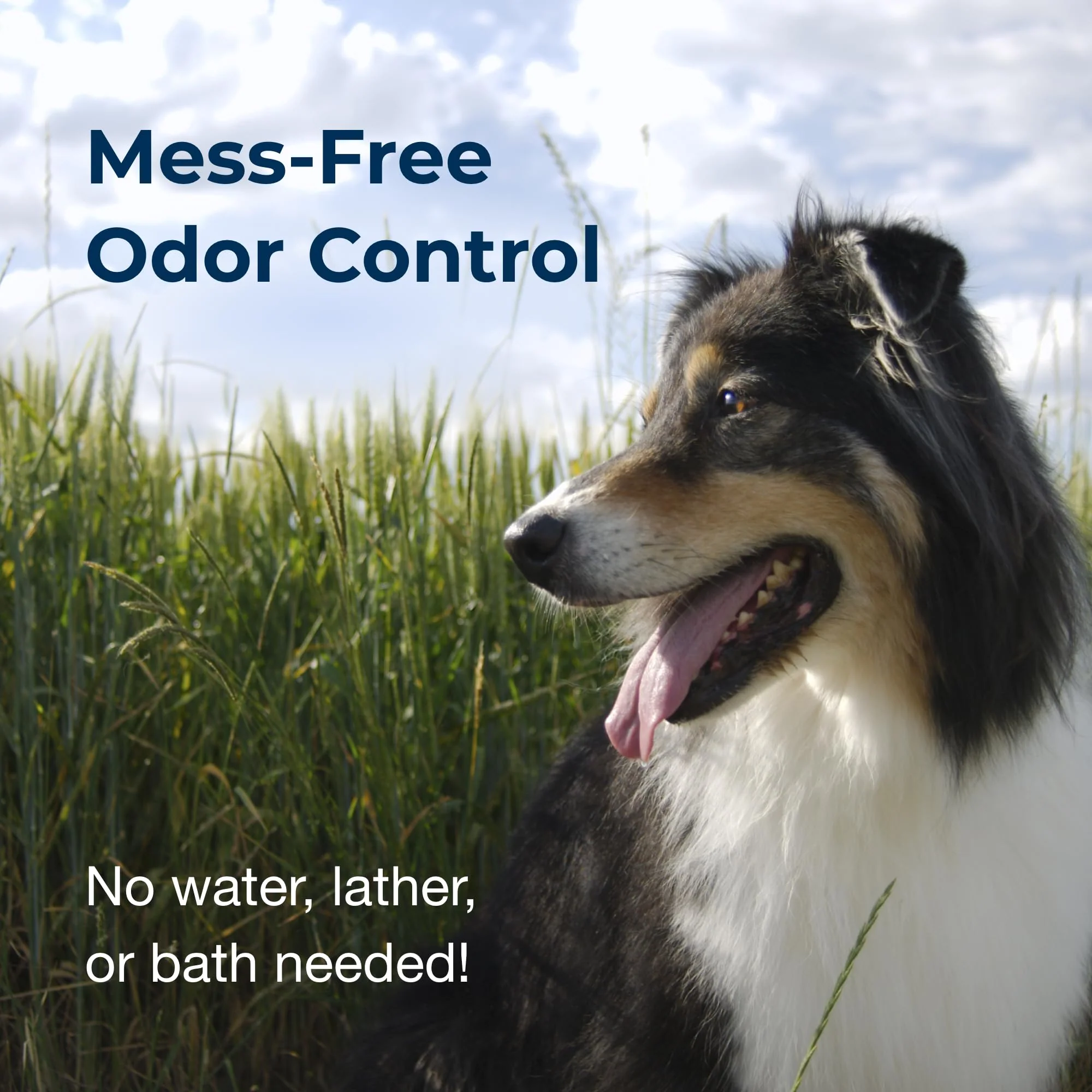 PetAg Fresh ’n Clean Cologne Spray - Baby Powder Scent - 6 oz - Controls Odor & Keeps Dogs Smelling Fresh - Image 3