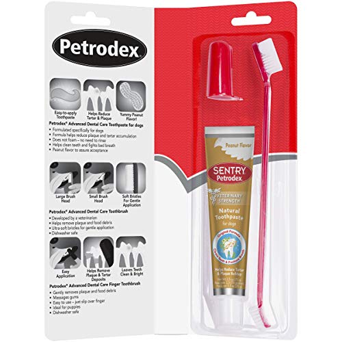 Petrodex Dental Care Kit for Dogs and Puppies, Cleans Teeth and Fights Bad Breath, Reduces Plaque and Tartar Formation, Enzymatic Tooth Brushing Kit, Peanut Flavor, 2.5oz Toothpaste + Toothbrush - Image 6