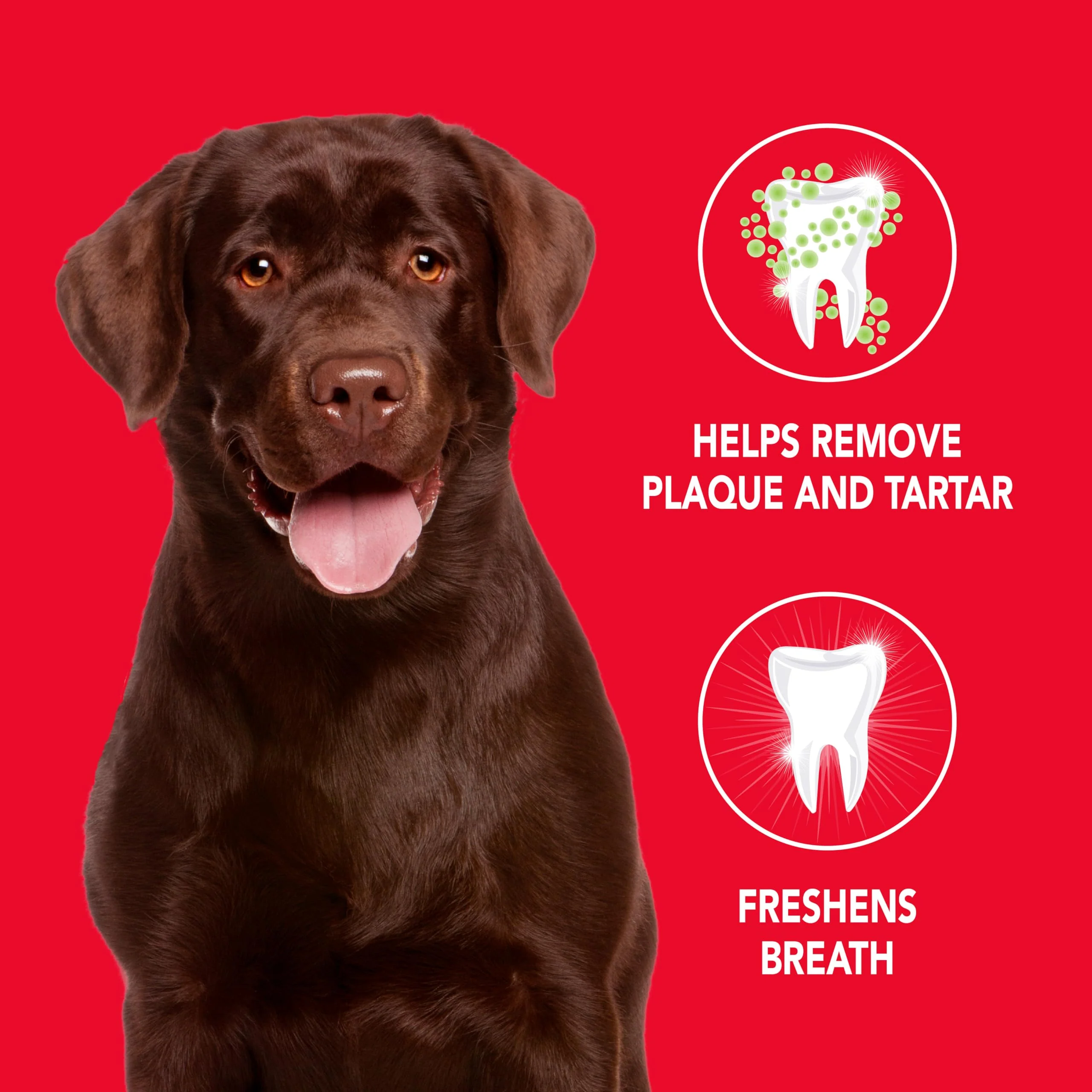 Petrodex Toothpaste for Dogs and Puppies, Cleans Teeth and Fights Bad Breath, Reduces Plaque and Tartar Formation, Enzymatic Toothpaste, Peanut Flavor, 2.5oz - Image 10