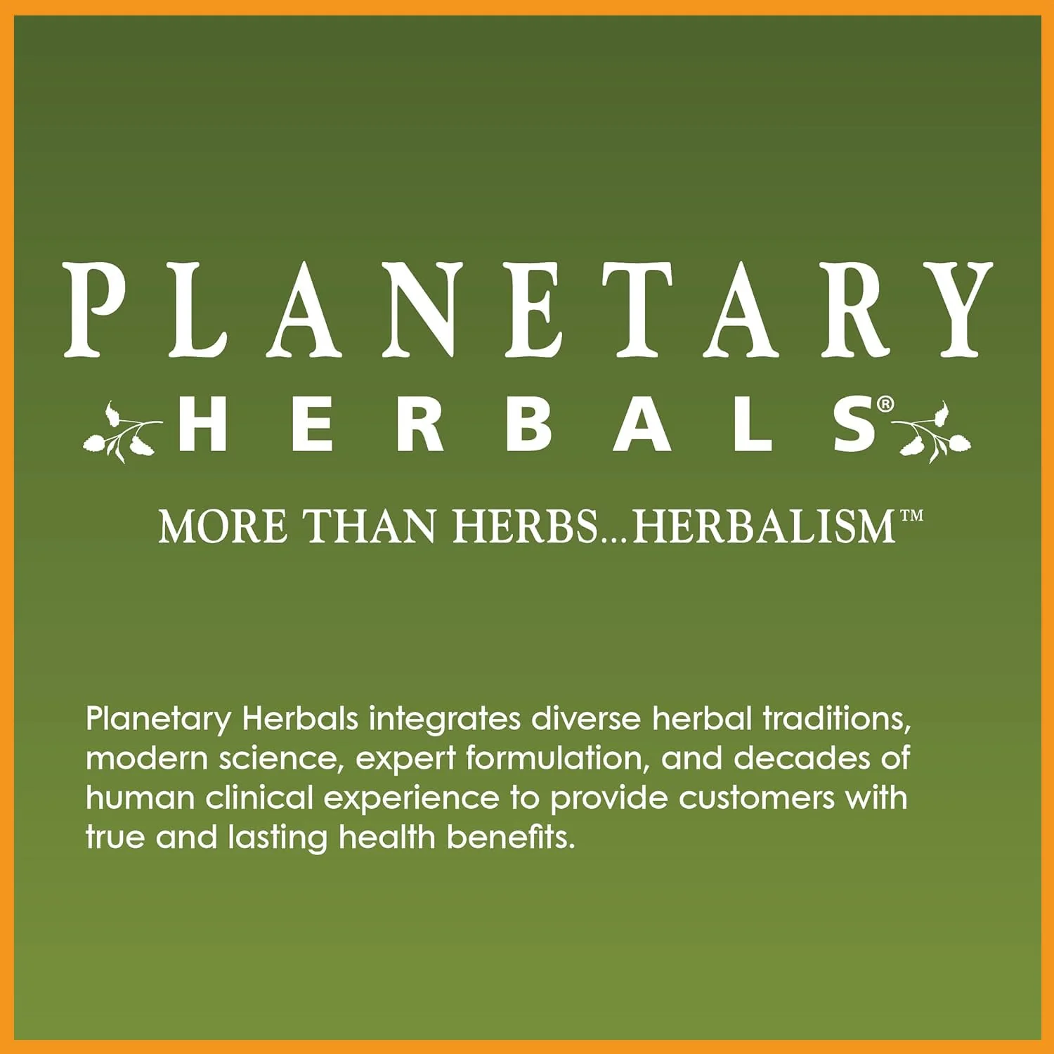 Planetary Herbals Full Spectrum Echinacea Liquid Extract Supplement - 2 Fluid Ounces - Image 3