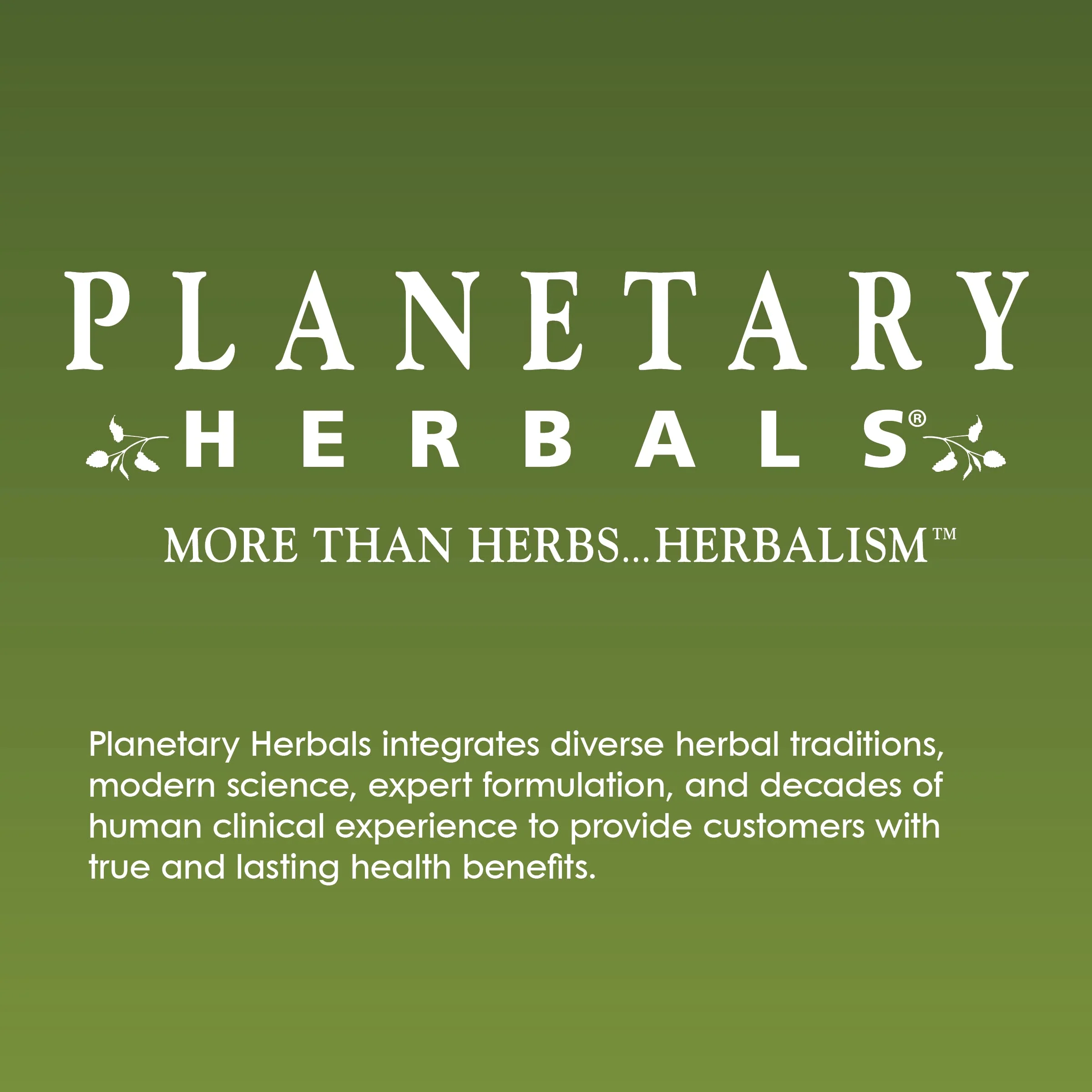 Planetary Herbals Stone Free 820 mg Herbal Support for Kidney and Gallbladder 180 Tablet - Image 2