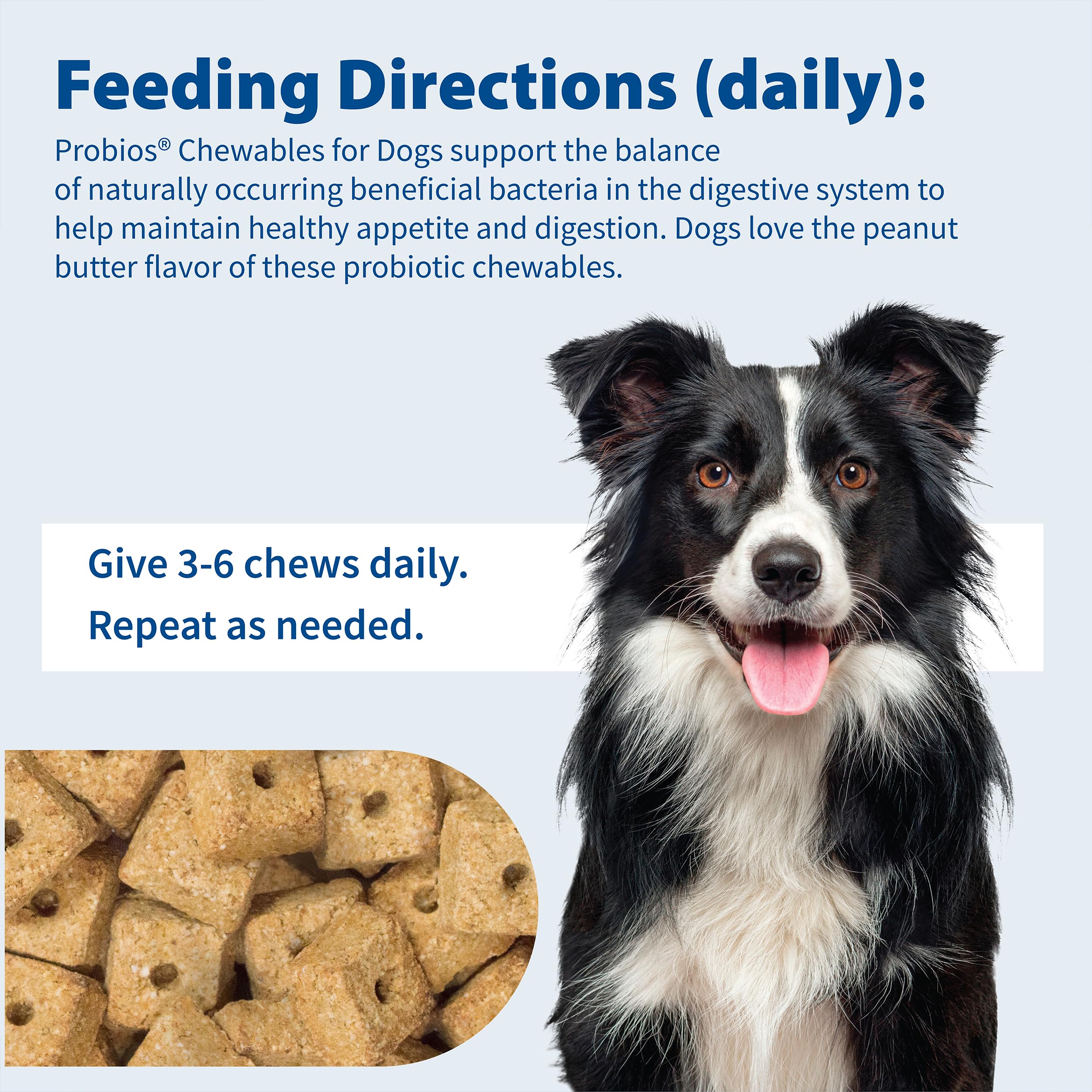 Probios Digestive Support Chewables for Dogs, Daily Probiotic Supplement for Gut Health, Digestion & Immune Support, 1 lb - Image 6