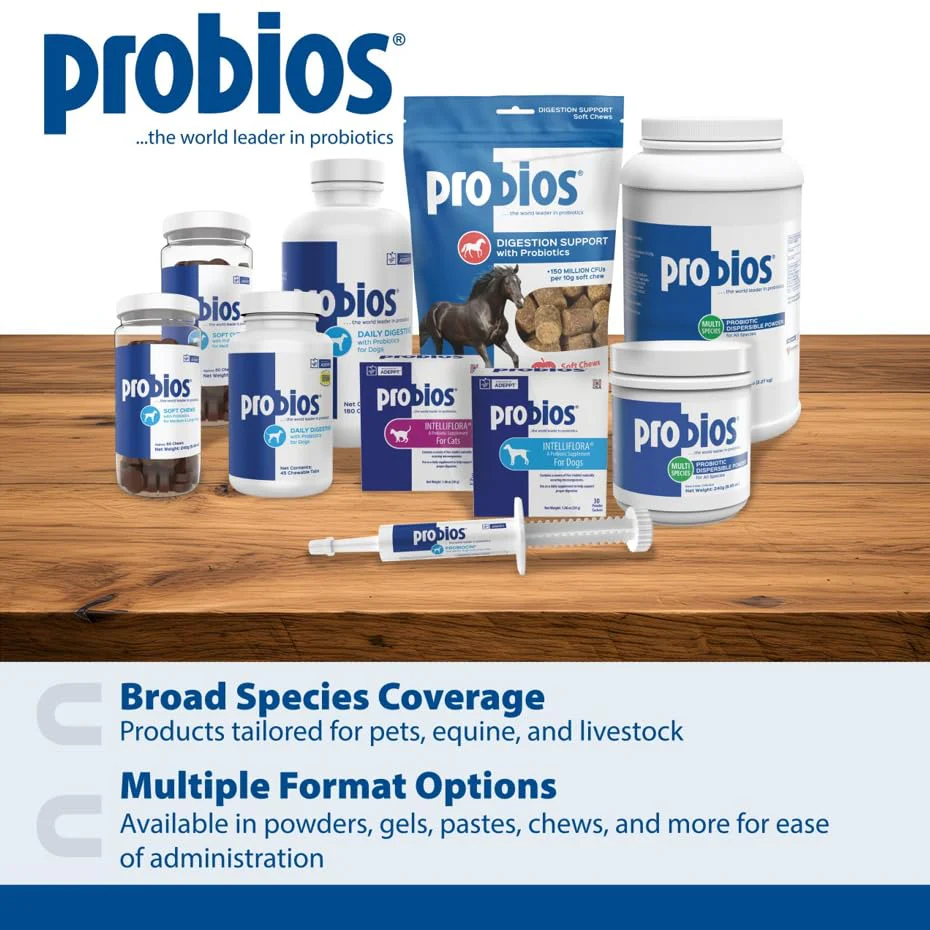 Probios for Dogs Soft Chews, Probiotics for Dogs, Daily Supplement for Gut Health, Digestion & Immune Support, Medium & Large Breeds, 8.46oz - Image 3