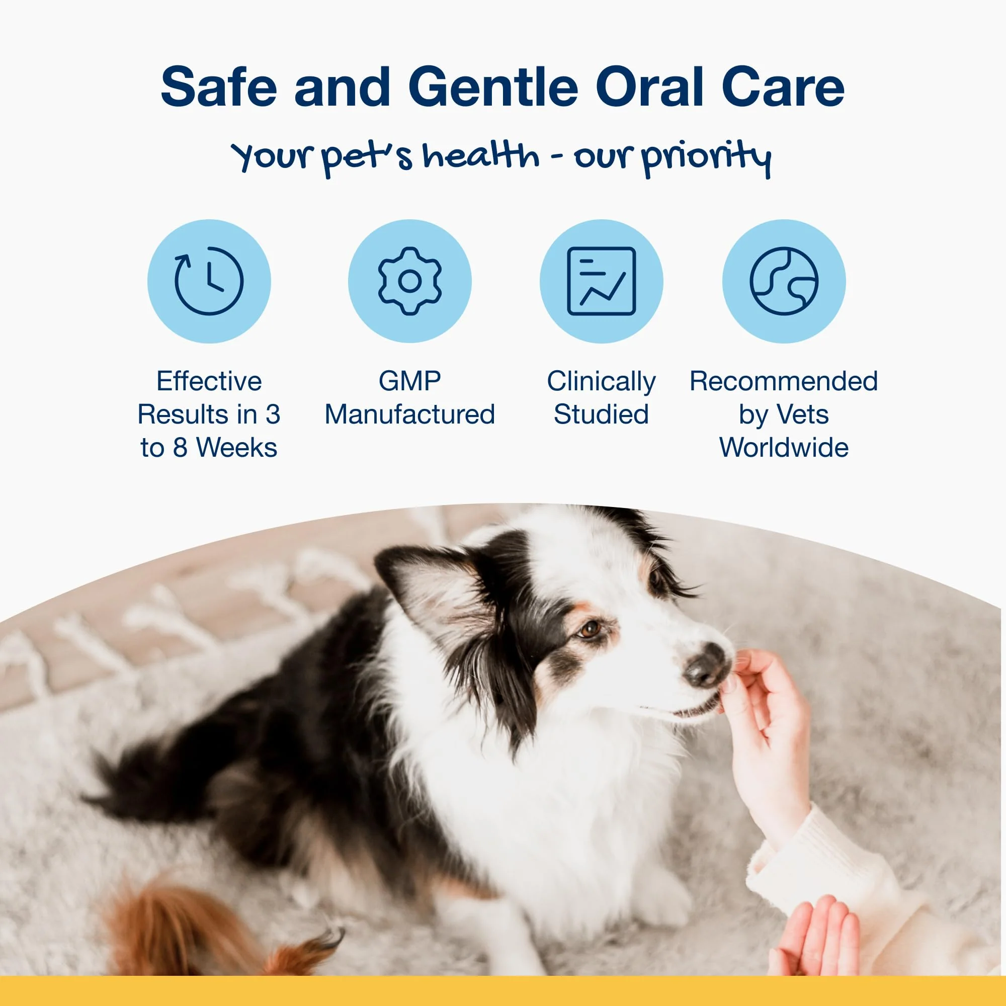 ProDen PlaqueOff Scoopables - Hickory Smoked Bacon Flavor Dental Bites for Small Dogs, Natural Kelp for Plaque & Tartar Control, Freshens Breath - Small & Medium Breed Dental Care- 45 Scoops - Image 8