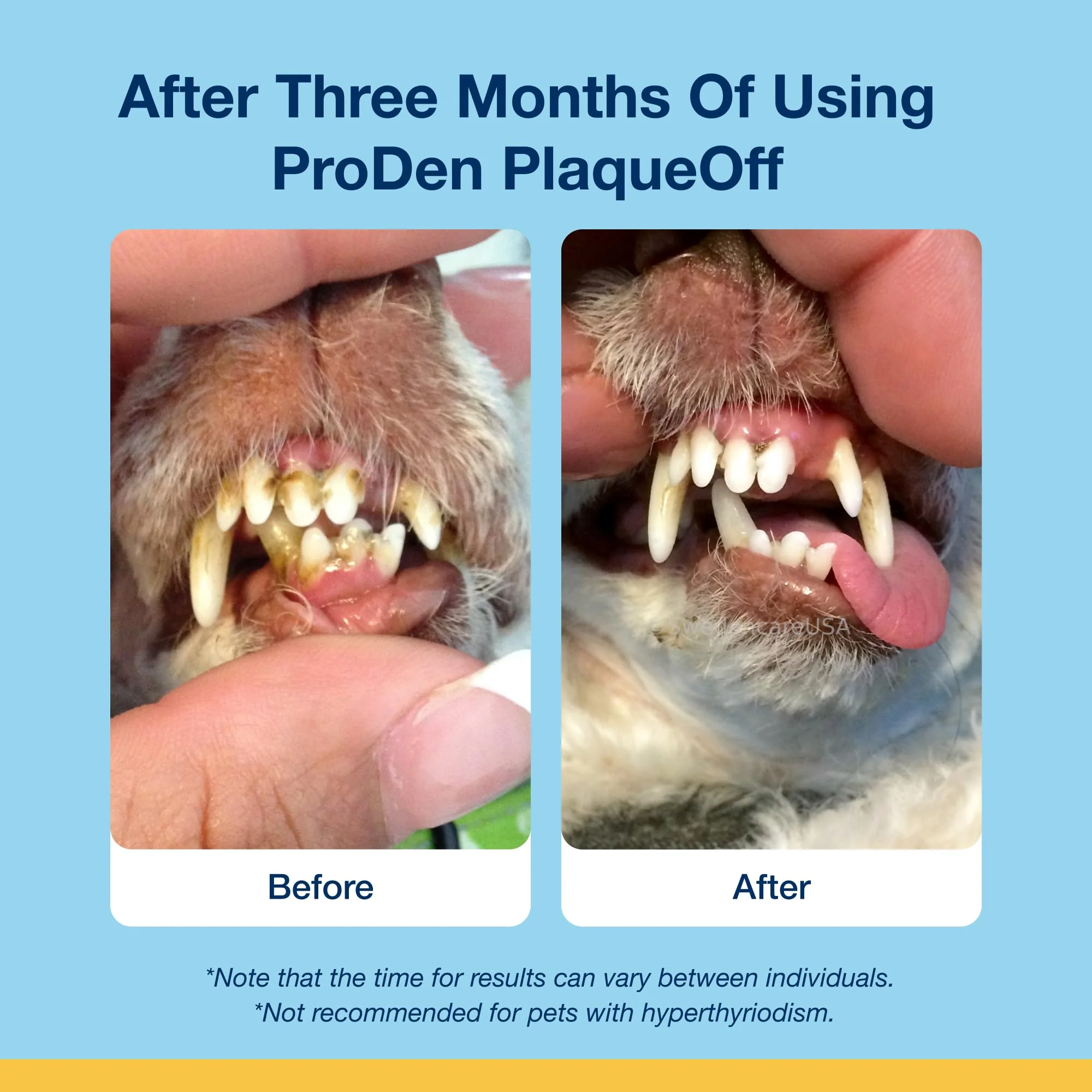 ProDen PlaqueOff Soft Chews with Natural Kelp - for All Breed Cats - Supports Normal, Healthy Teeth, Gums, and Breath Odor in Cats - 45 Soft Chews - Image 6