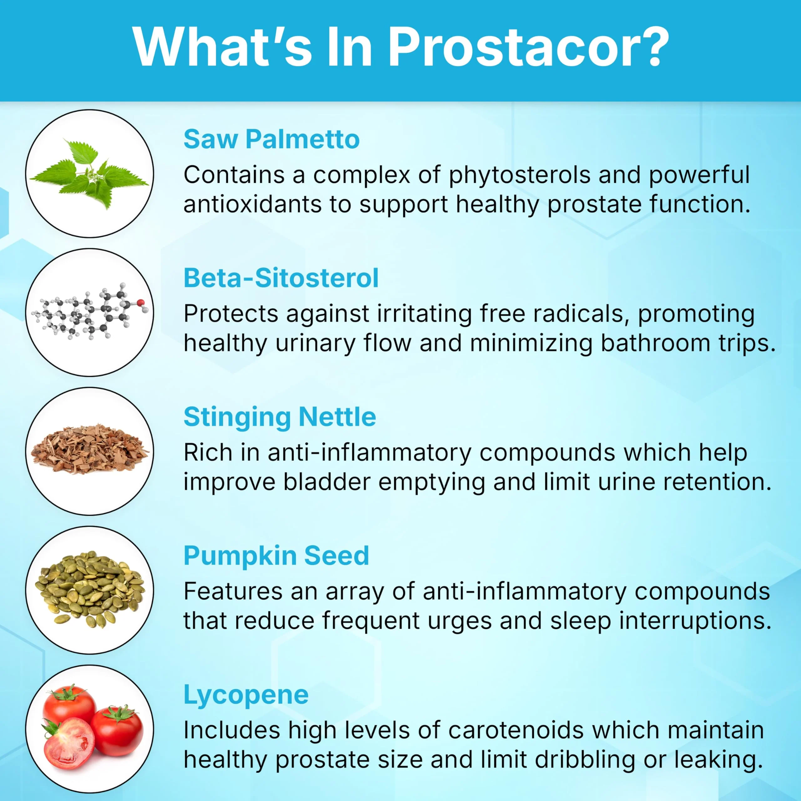 Prostacor - Natural Prostate Support Supplement - Non-GMO, Vegan, Gluten-Free - Image 6