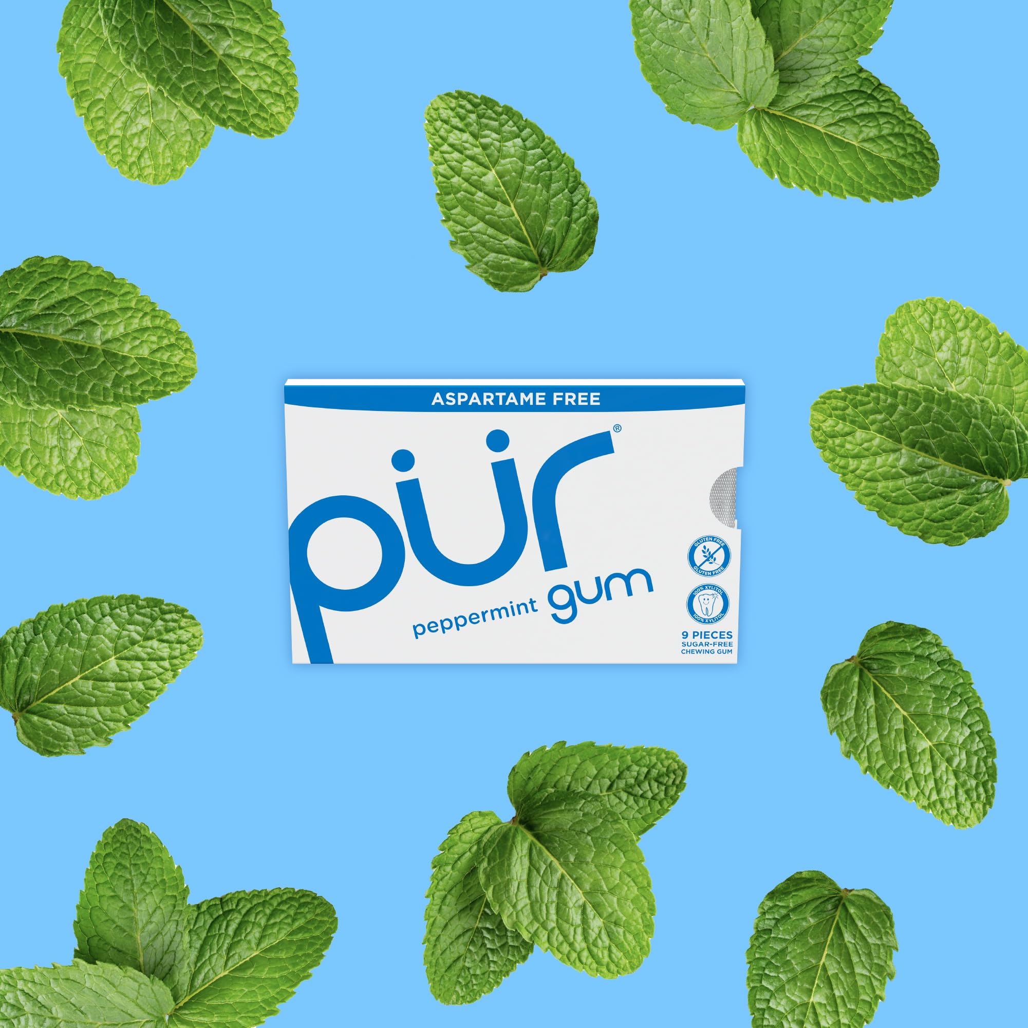 PUR Gum | Aspartame Free Chewing Gum | 100% Xylitol | Natural Peppermint Flavored Gum, 9 Pieces (Pack of 12) - Image 4