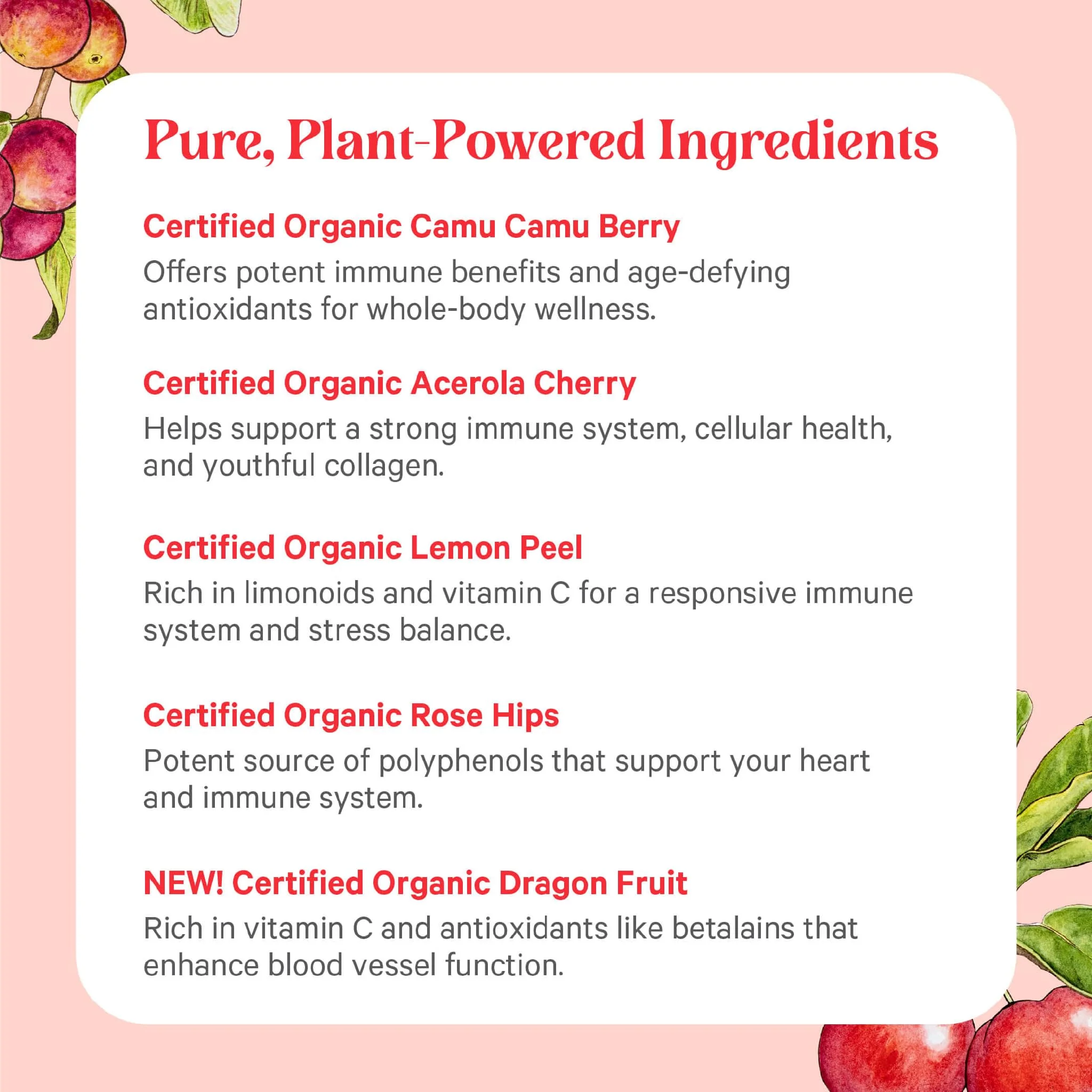 PURE SYNERGY Pure Radiance C | Organic Vitamin C Capsules | 100% Natural, Whole Food, Non-GMO Supplement with Organic Camu Camu | for Immune and Collagen Support (90 Capsules) - Image 10