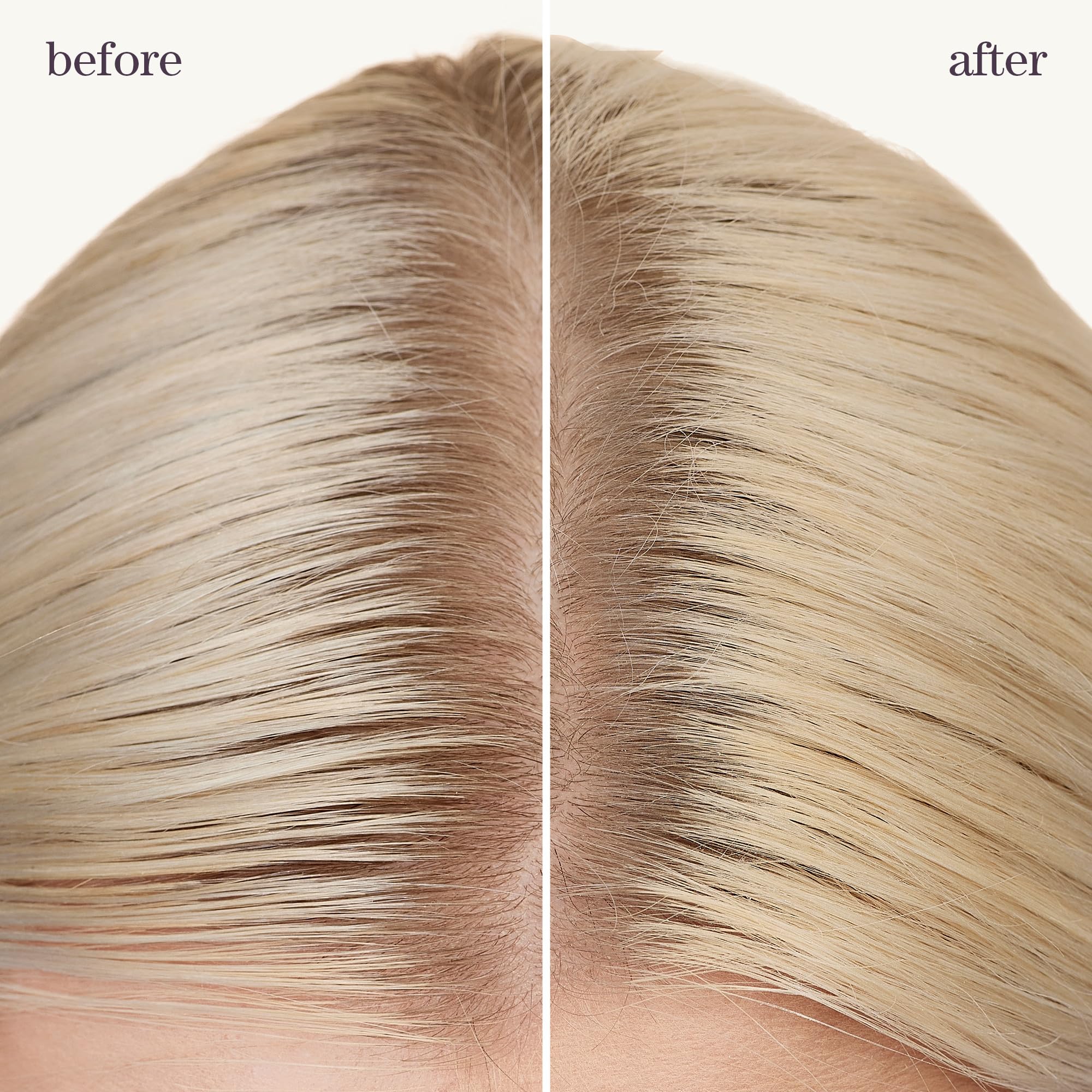 Pureology Style + Protect Refresh & Go Dry Shampoo | For Oily, Color-Treated Hair | Volumizing & Protective Dry Shampoo | Silicone-Free | Vegan | Updated Packaging | 5.3 Oz. | - Image 3
