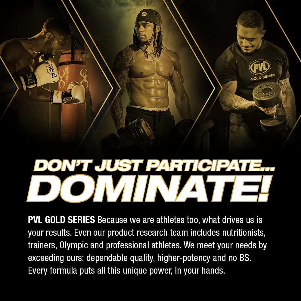 PVL Gold Series - Clean Mass XL - The Clean Muscle Mass Gainer - 10 LB - Triple Chocolate Cake - Image 2