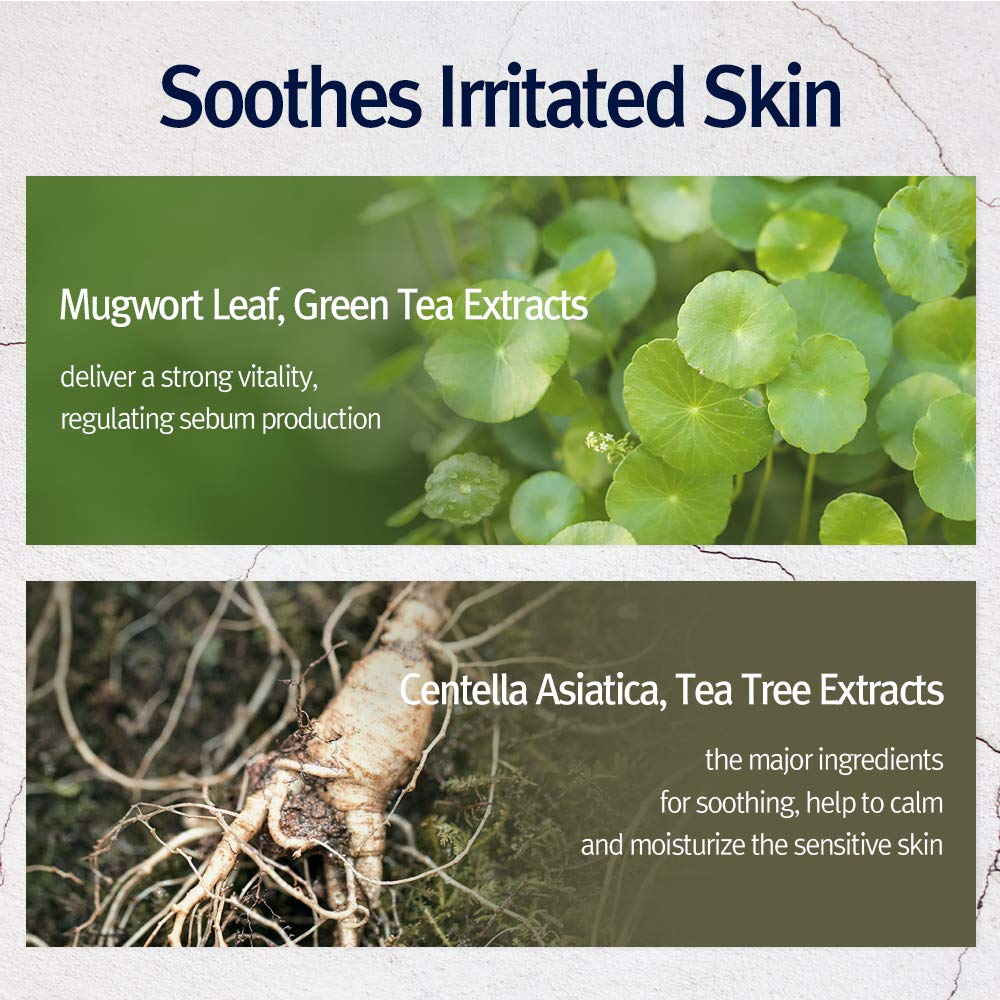 Pyunkang Yul PKY Highly Moisturizing Essence Mask Pack 25 ml / 0.85 fl.oz. x 10 EA - Image 5