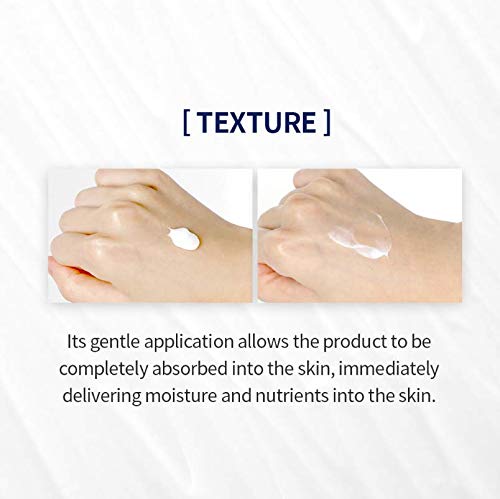 Pyunkang Yul PKY Intensive Repair Cream - Ceramide Moisturizer for Dry Skin with Shea Butter & Macadamia Oil, 1.7 Fl. Oz - Image 4