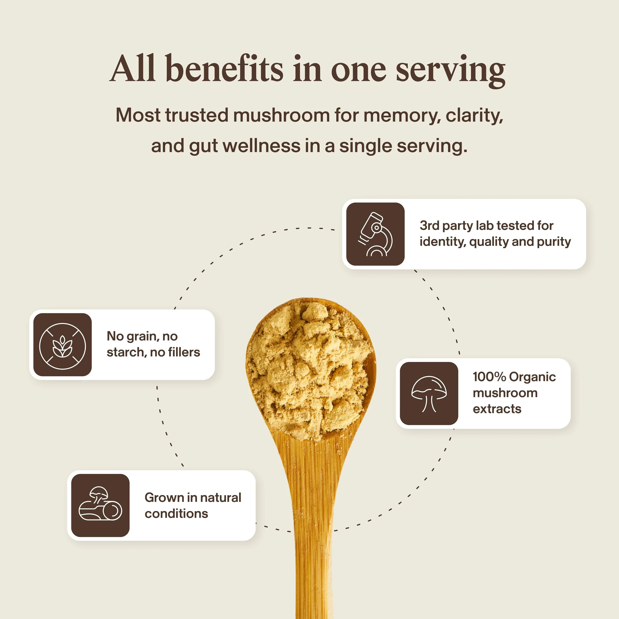 Real Mushrooms Lions Mane Mushroom Cognition (120 Capsules) Lions Mane Mushroom Powder Extract Capsules | Brain Supplement, Brain Vitamins, Focus Supplement - Image 3